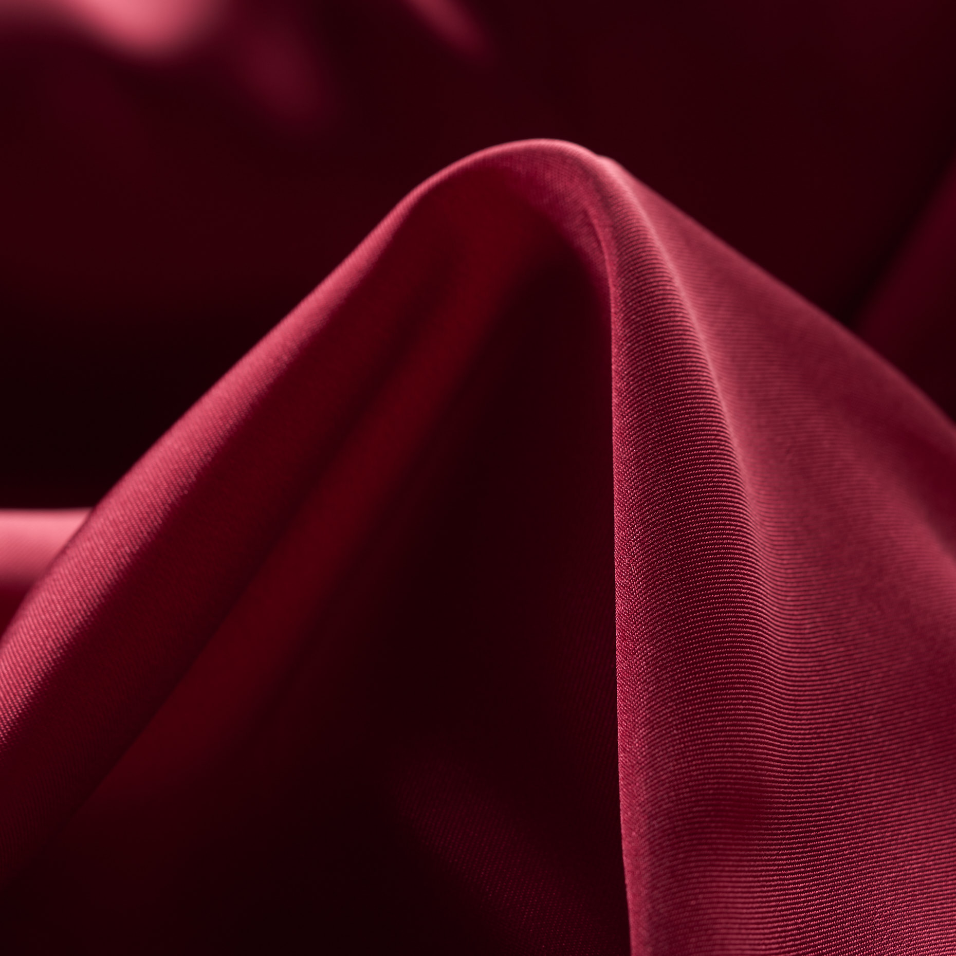 LINING, CARMINE (F000021329)