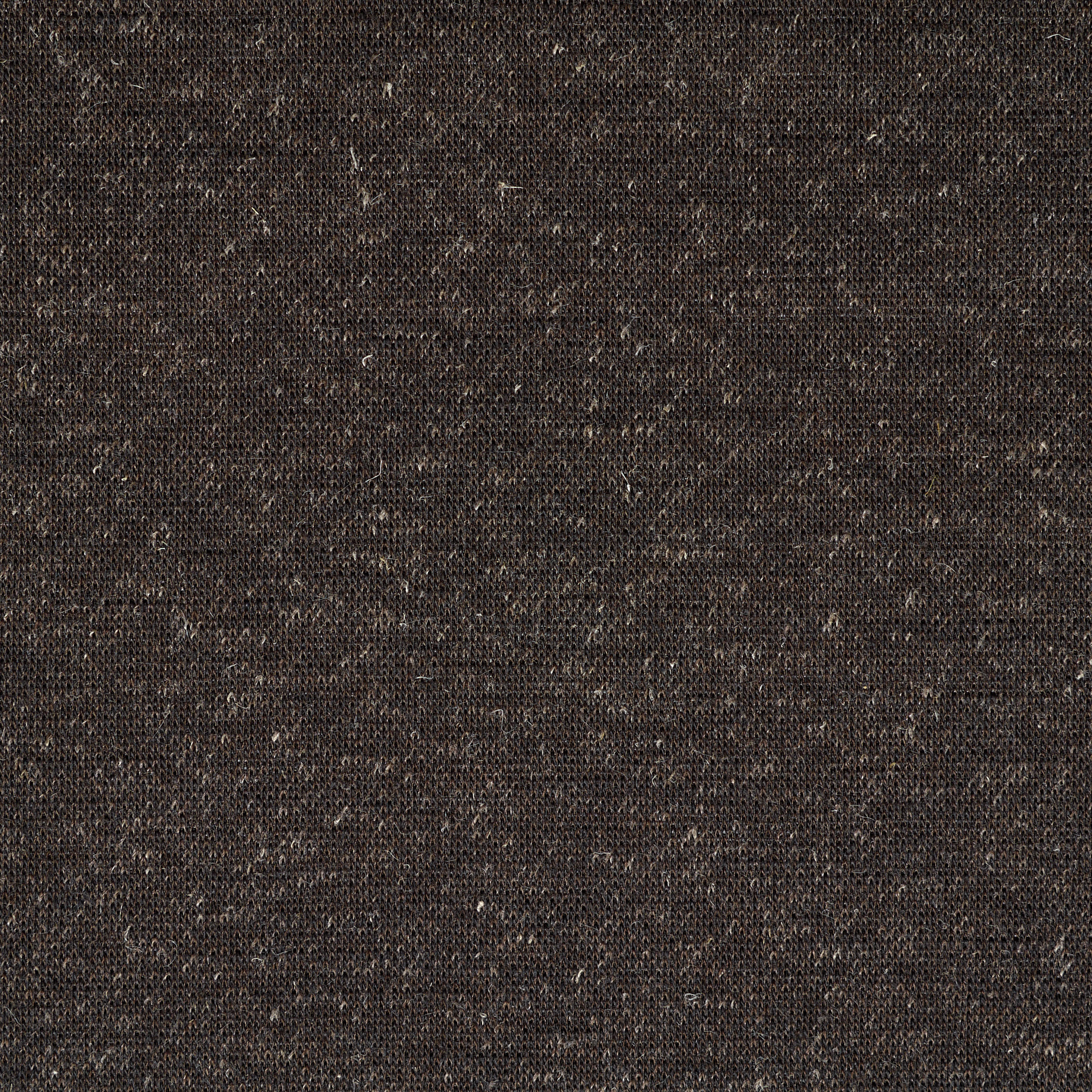 JERSEY, COTTON, WOOL, COFFEE QUARTZ (F000044781) - Texture