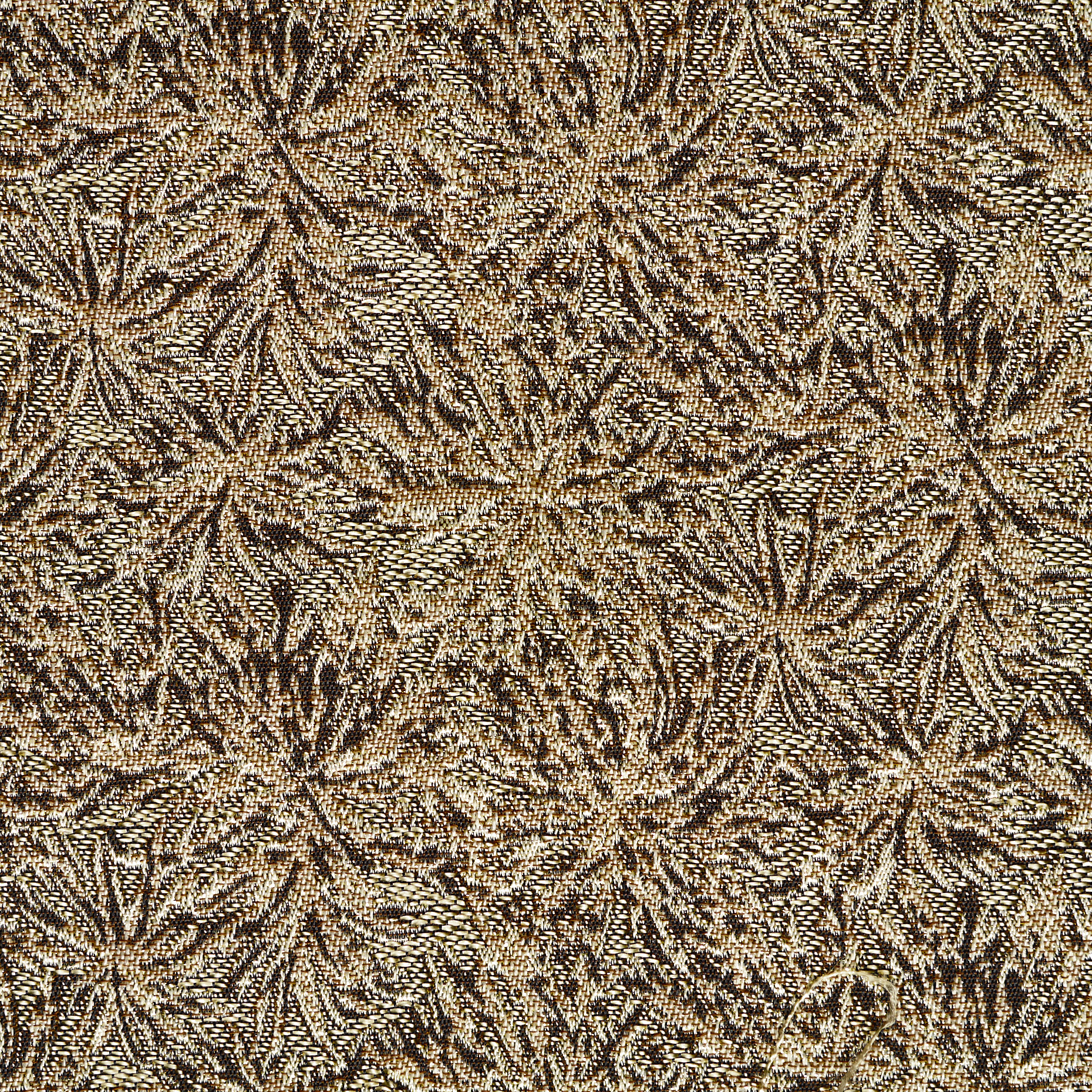 JACQUARD, ACETATE, METALLIC, OTTER&RED GOLD (P000005190) - Texture