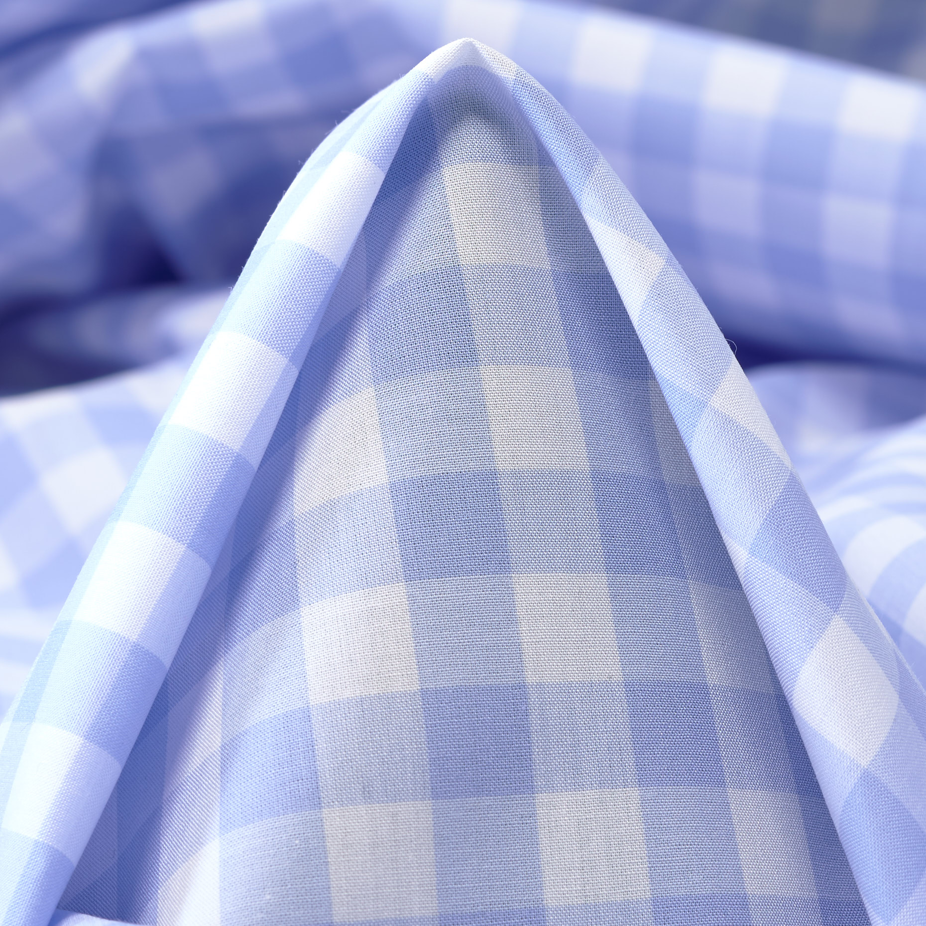 POPLIN, COTTON, CHECK, DUTCH CANAL&BRILLIANT WHITE (F000039332)