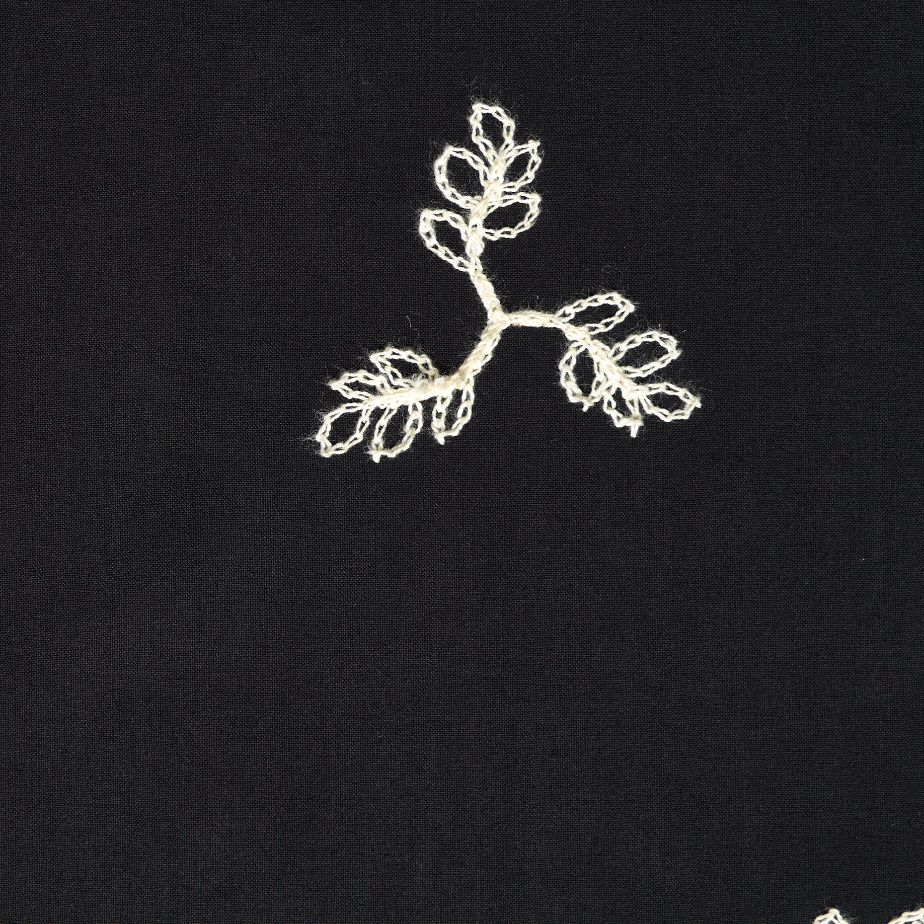 BATISTE, COTTON, EMBROIDERED, ANTIQUE WHITE&RAVEN BLACK (F000048751) - Texture