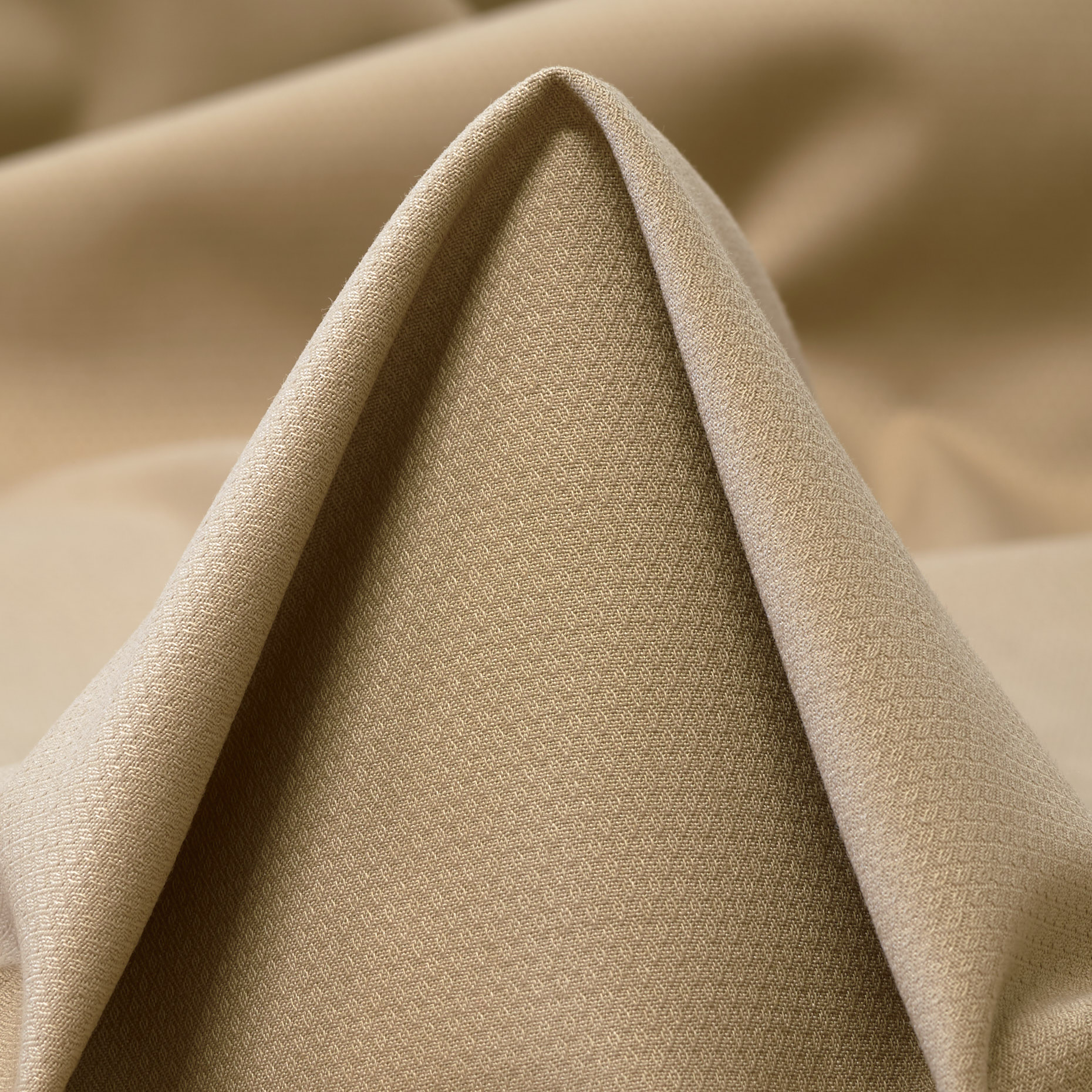 COTTON, ELASTIC, MICRO STRUCTURE, RICE (F000038485)