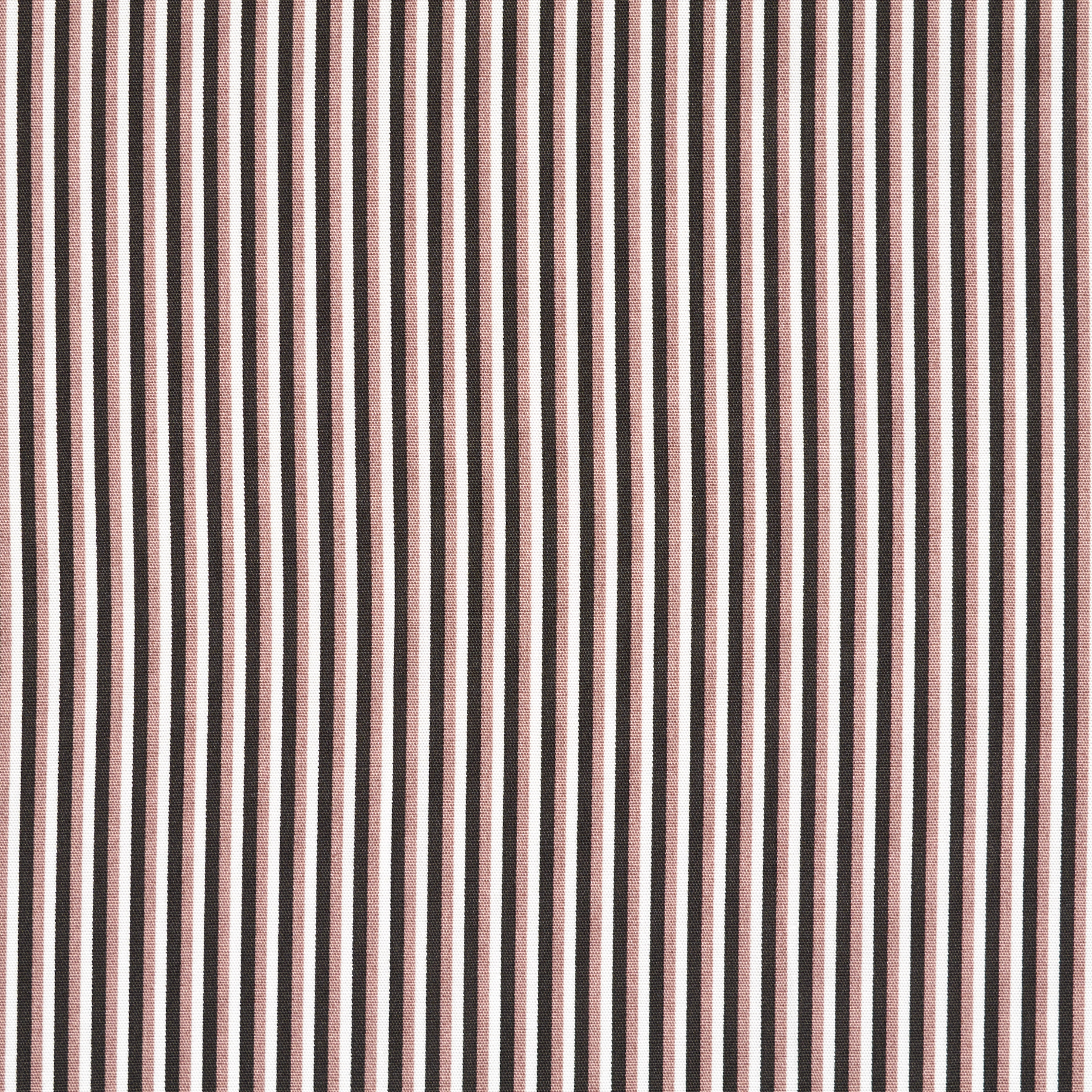 POPLIN, COTTON, STRIPES, PRALINE&RAVEN BLACK (F000009615) - Texture