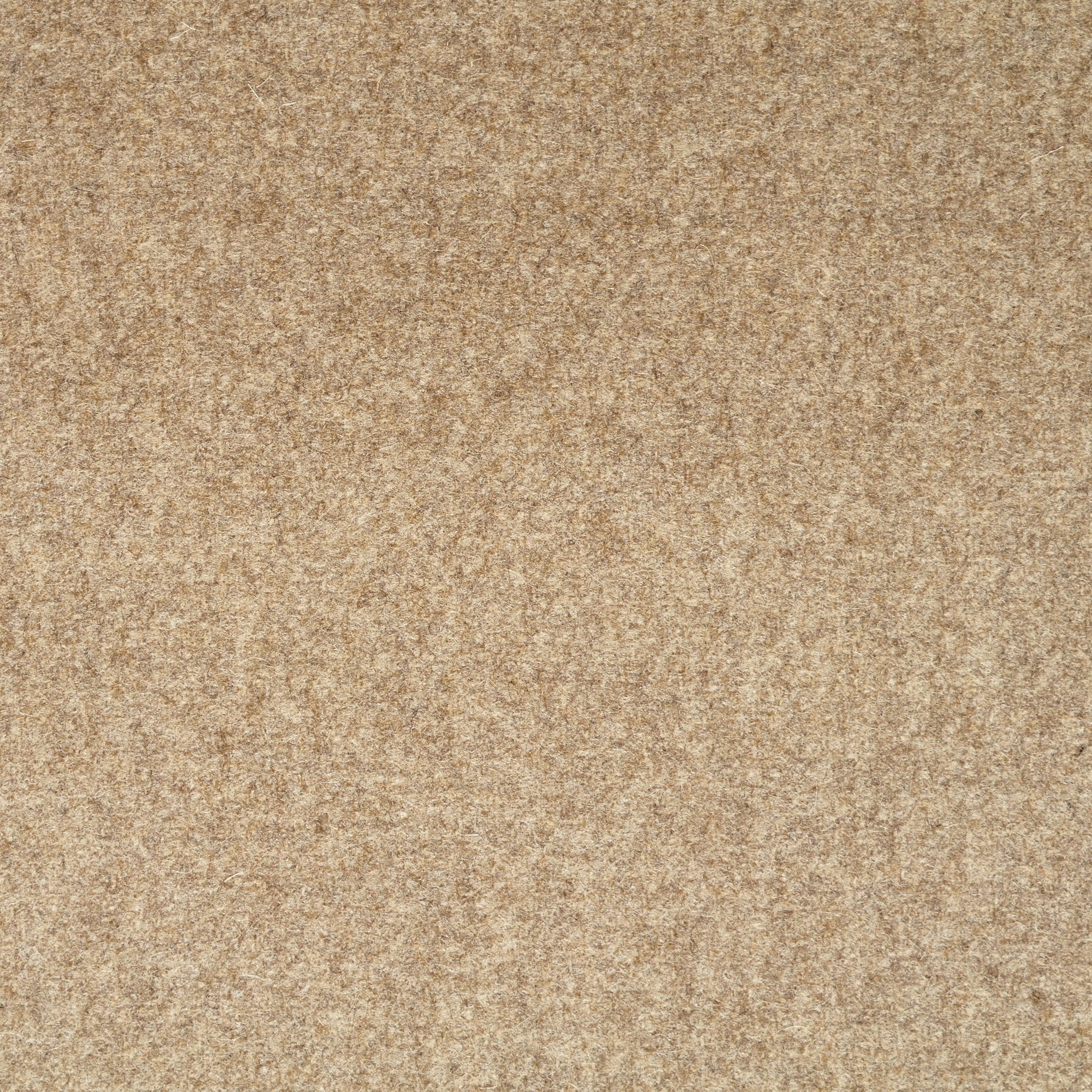 Loden, Wełna dziewicza, Humus (F000048727) - Tkana