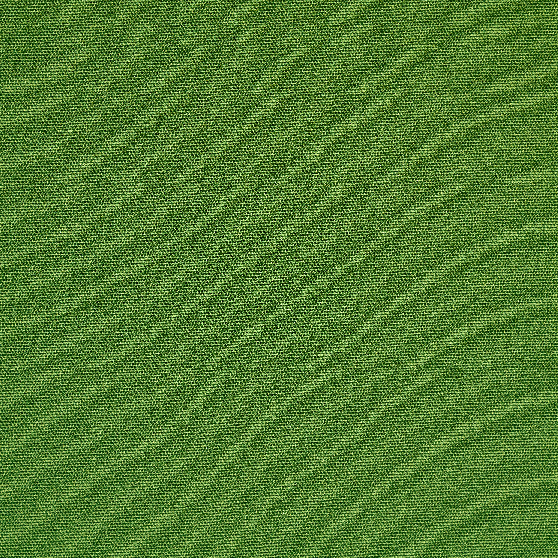 Cady, Stretch, Artichoke (F000049347) - Trama