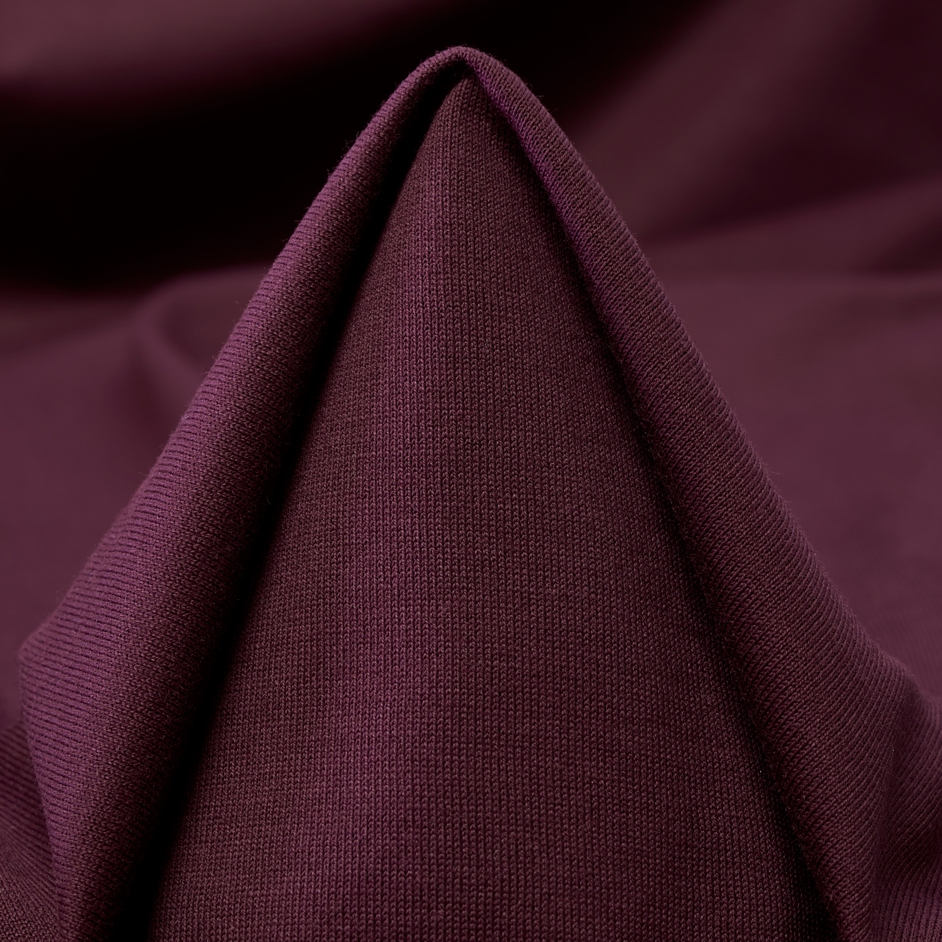 SINGLE JERSEY, COTTON, PORT (F000046593)