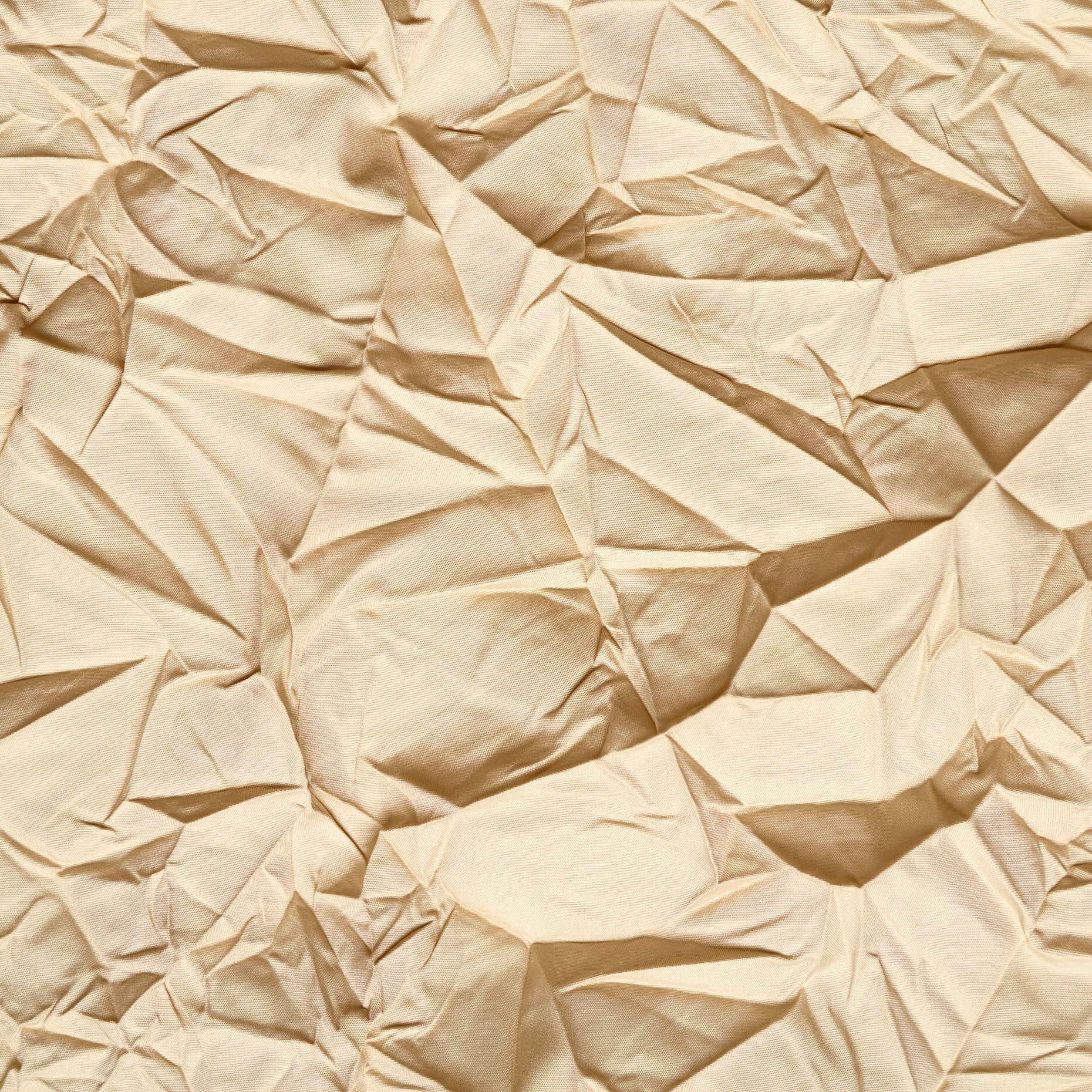 Crash, Crespo, Biscotti (T0000645) - Trama