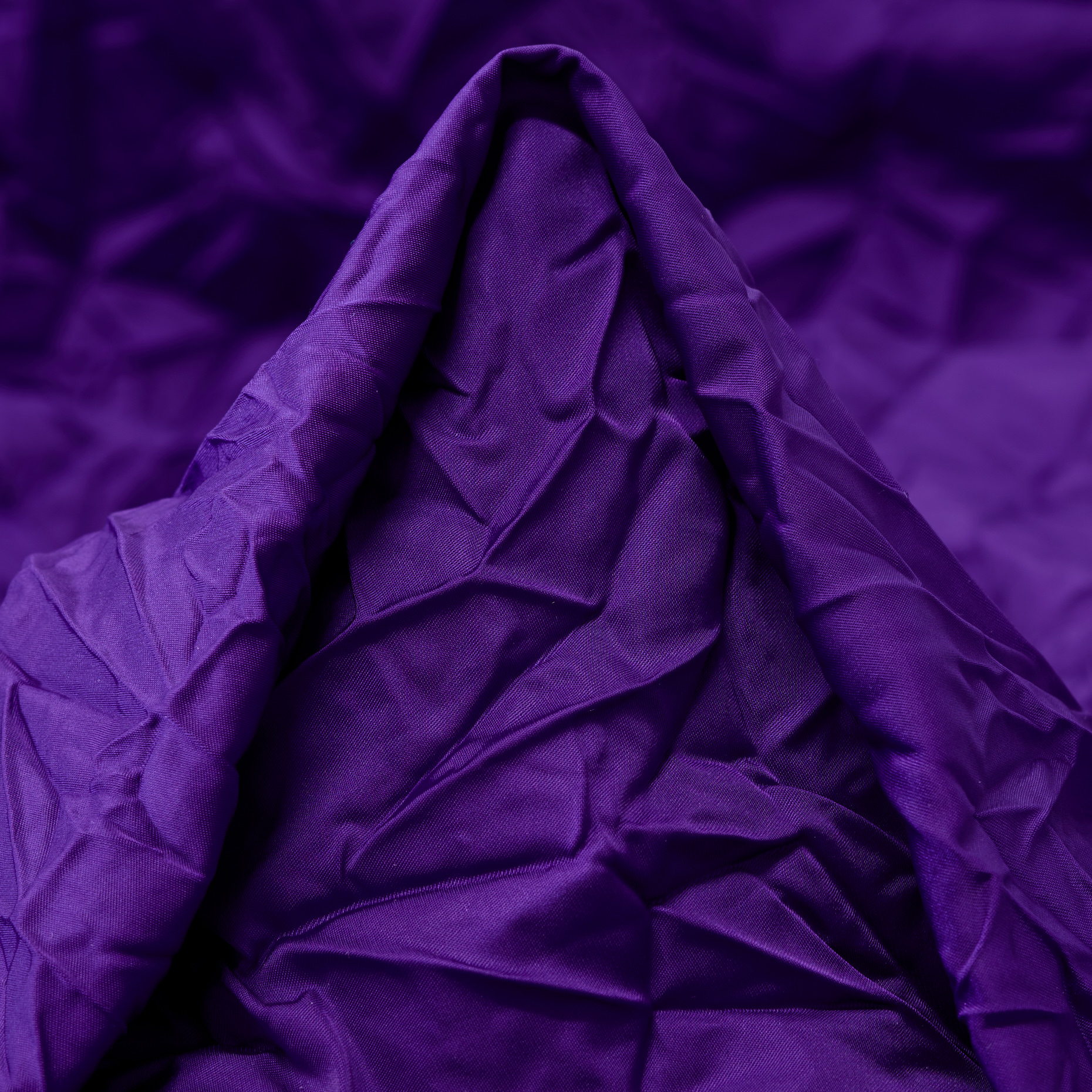 CRASH, WRINKLY, ROYAL LILAC (T0000640)