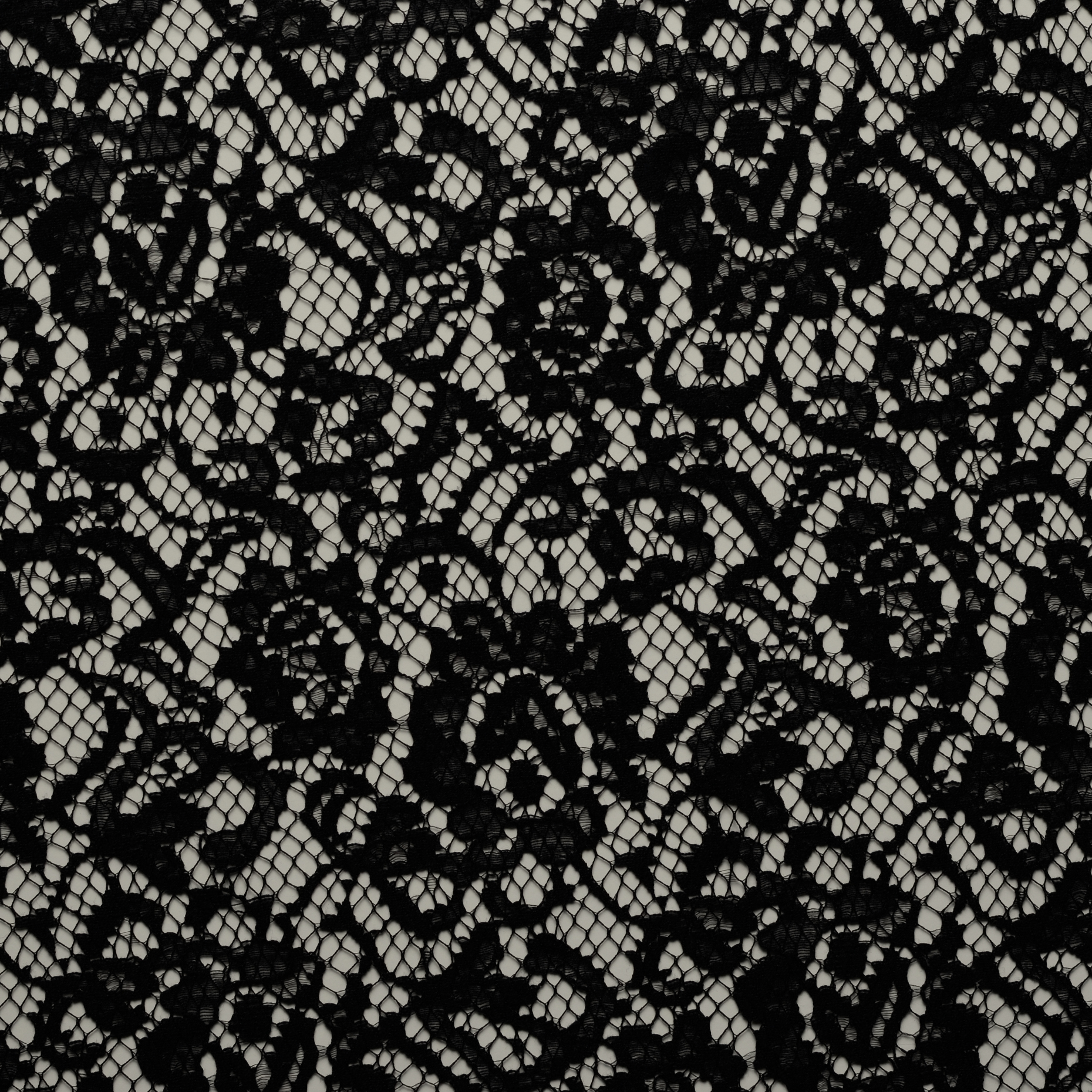 LACE, VISCOSE, FLORAL, CHARCOAL ART (F000020571) - Texture