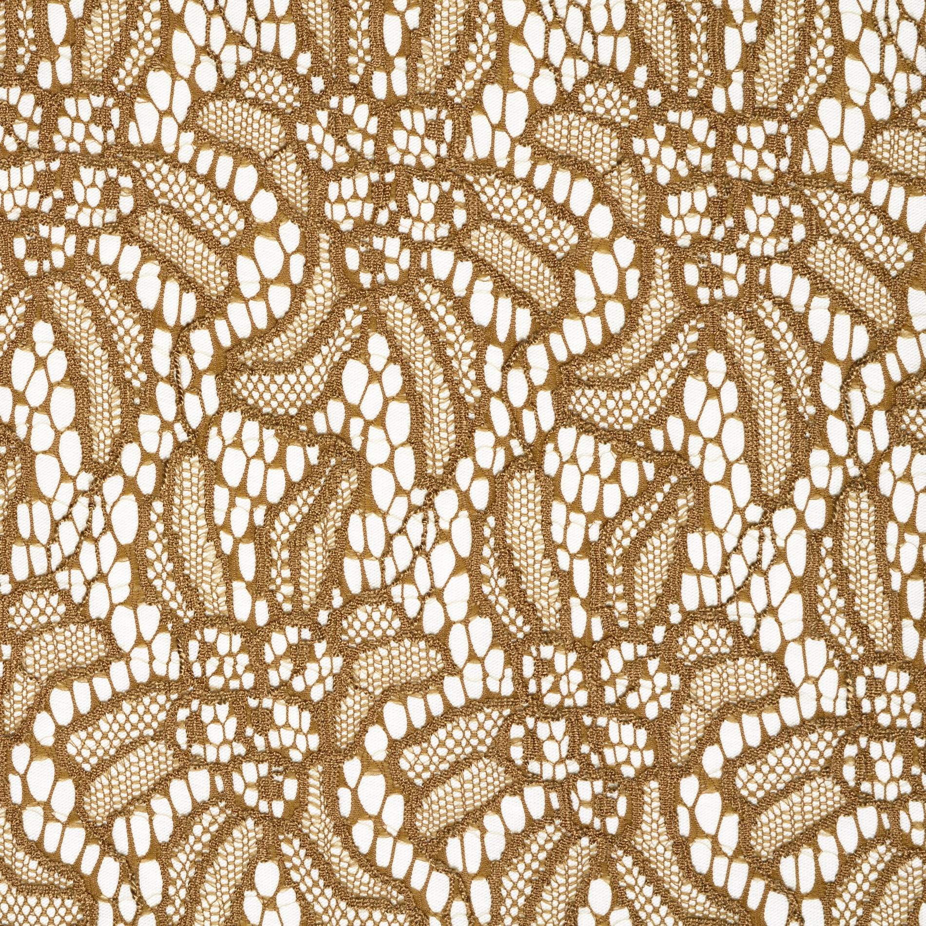 LACE, COTTON, SAND&SNOW WHITE (F000031738) - Texture