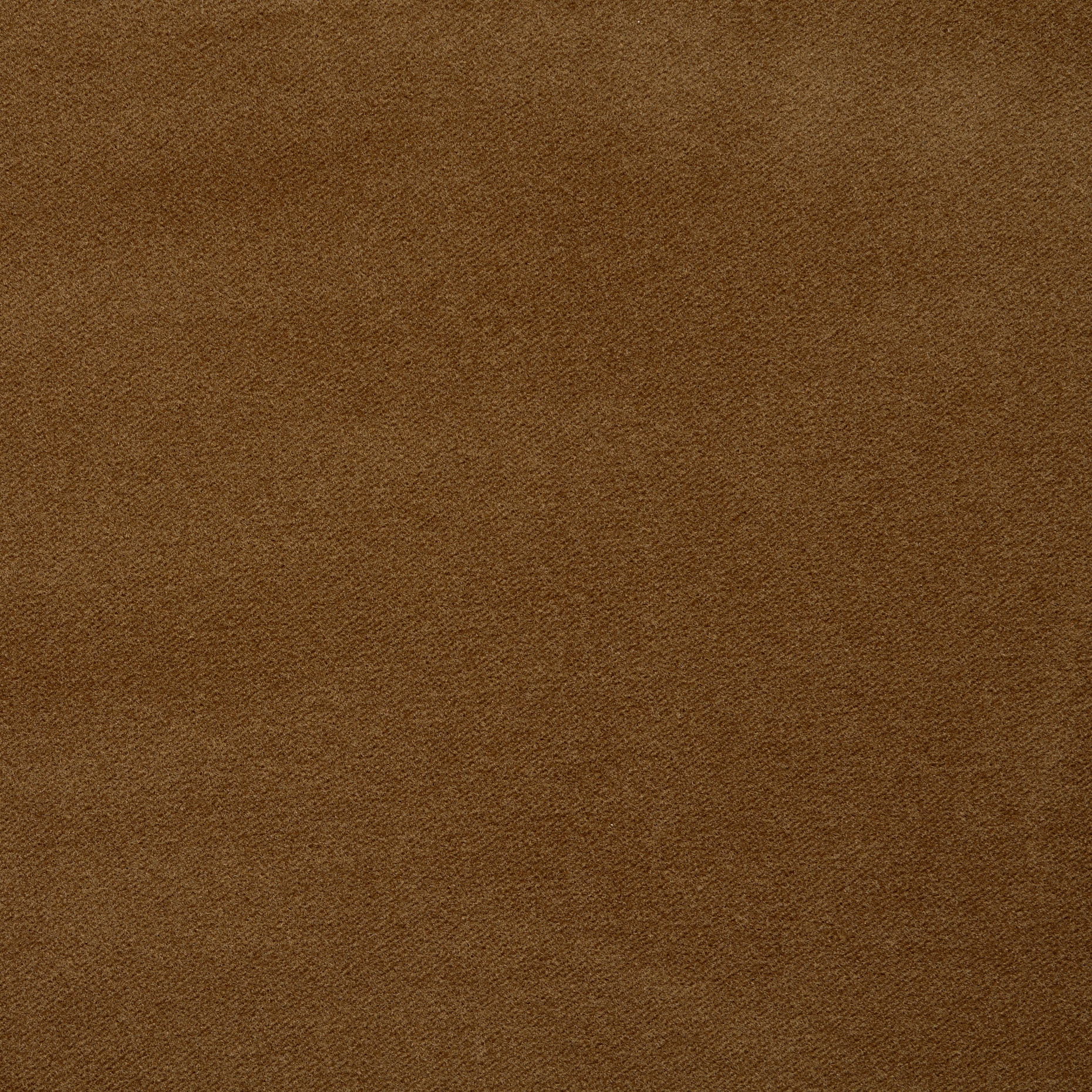 Double, Baumwolle, Brushed, Toasted Coconut (F000044324) - Gewebe