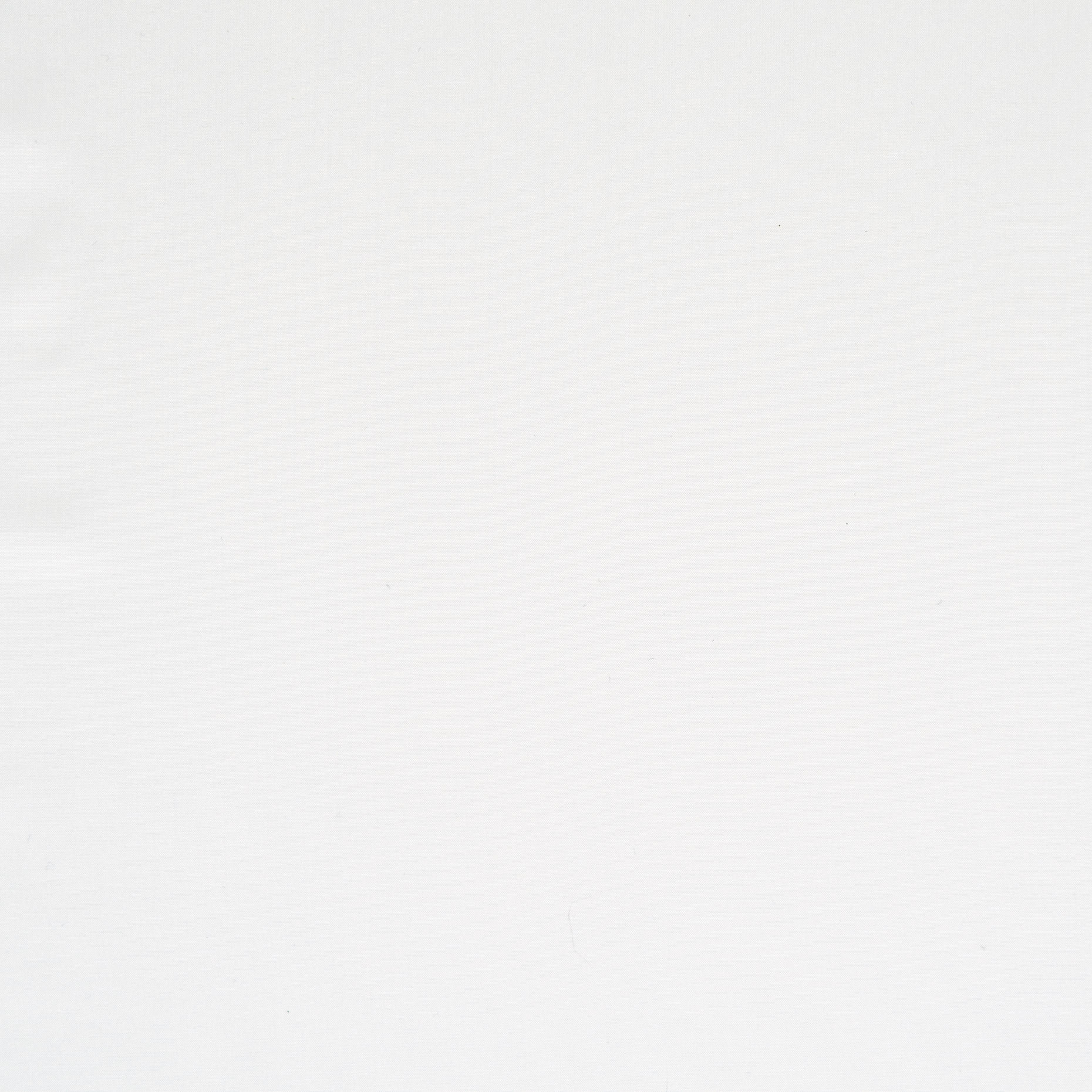 OUTDOOR, WATER REPELLENT, TRANSPARENT, BRILLIANT WHITE (F000043848) - Texture