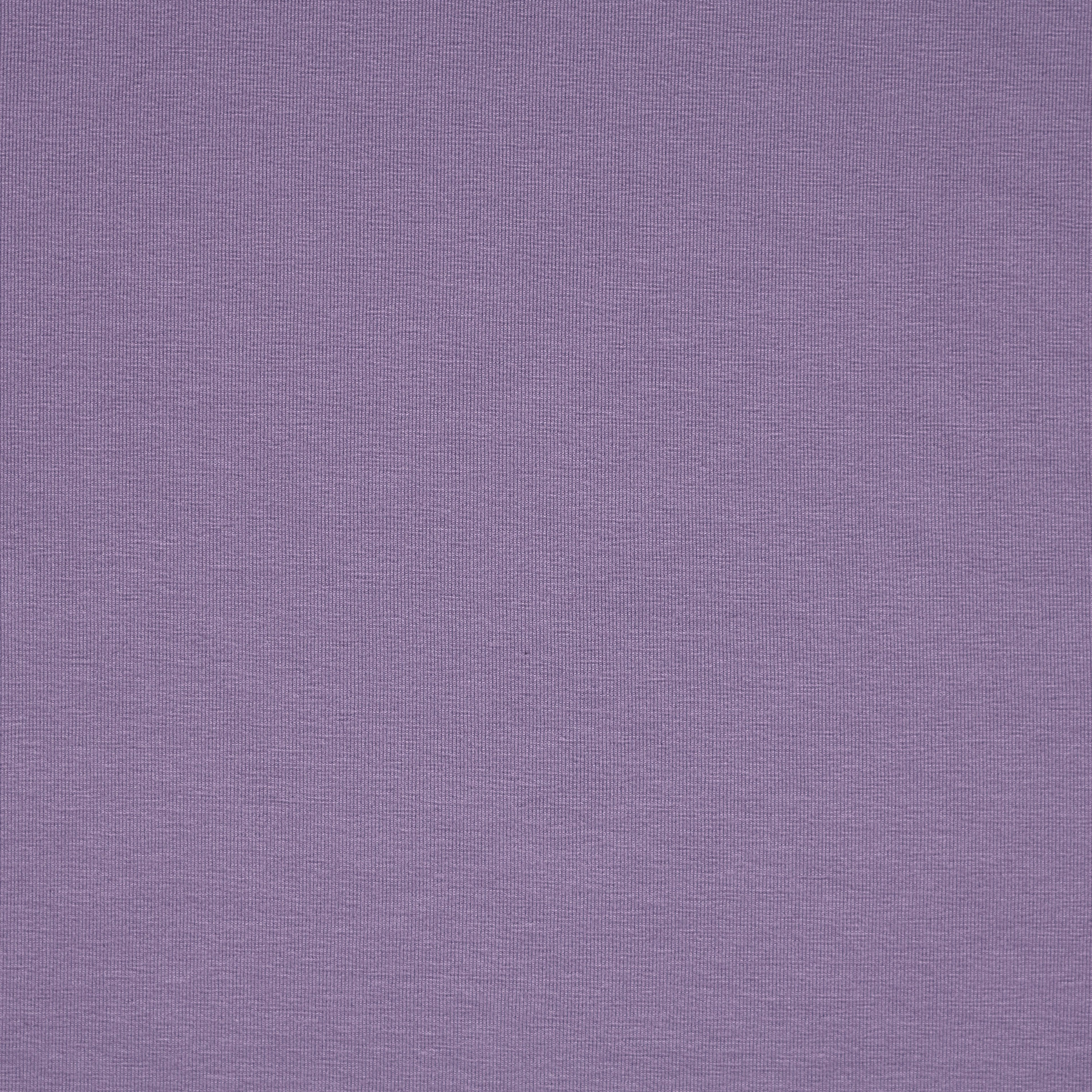 Single Jersey, Baumwolle, Chalk Violet (F000034652) - Gewebe