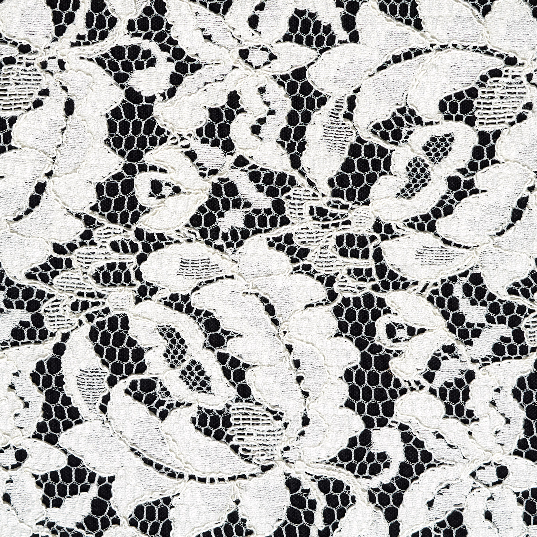 LACE, VISCOSE, FLORAL, MARSHMALLOW (F000046218) - Texture