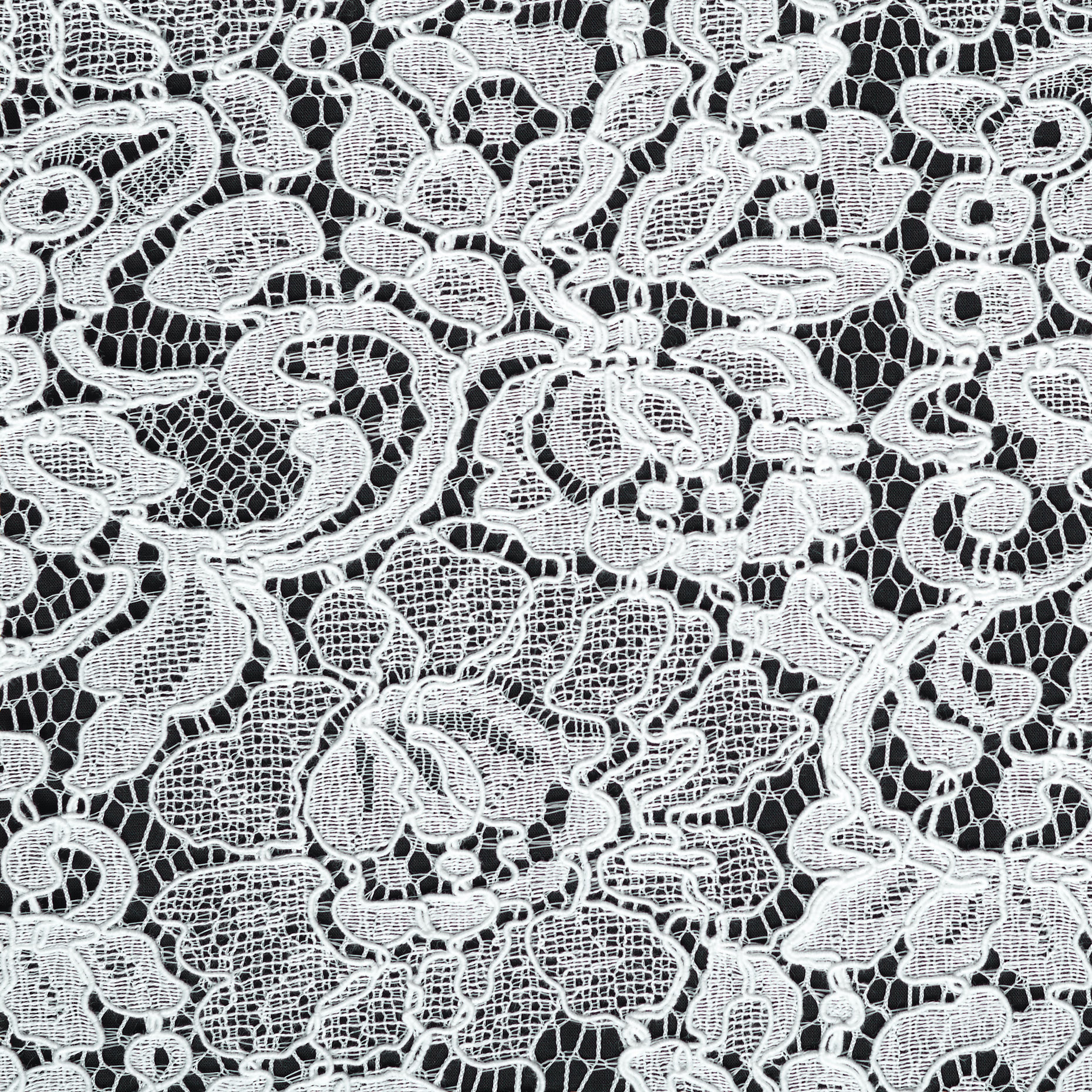 Koronka, Wiskoza, Kwiatowy, Brilliant White (B0000073) - Tkana