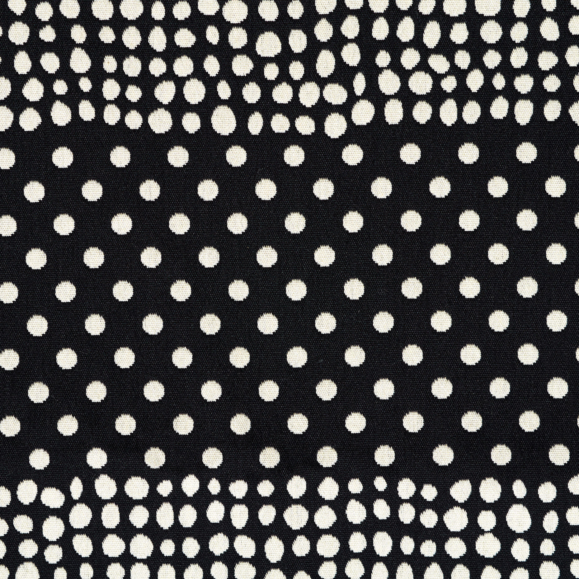 JACQUARD, COTTON, ELASTIC, RAVEN BLACK&SNOW WHITE (F000045305) - Texture