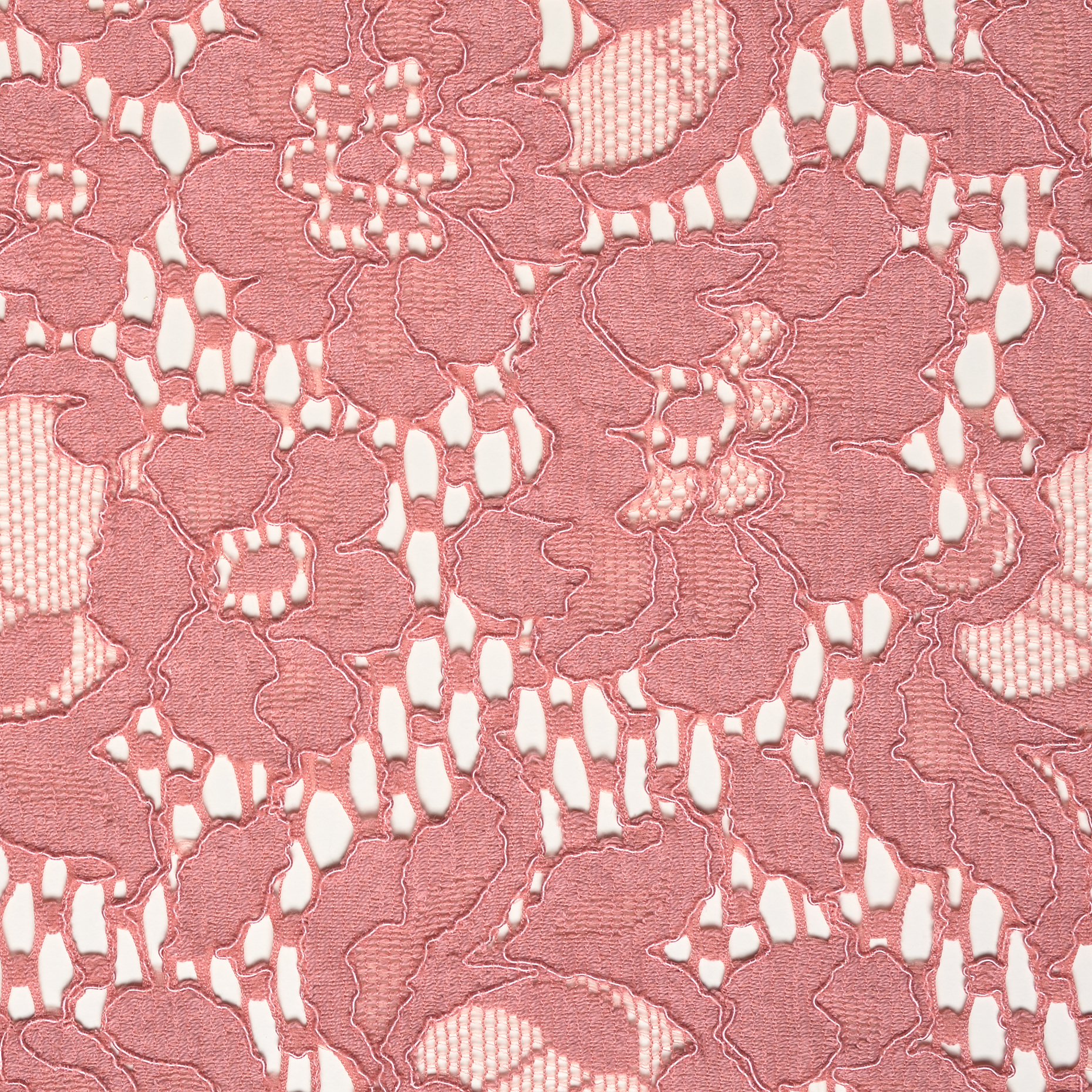 LACE, COTTON, FLORAL, CORAL CLOUD (F000033817) - Texture