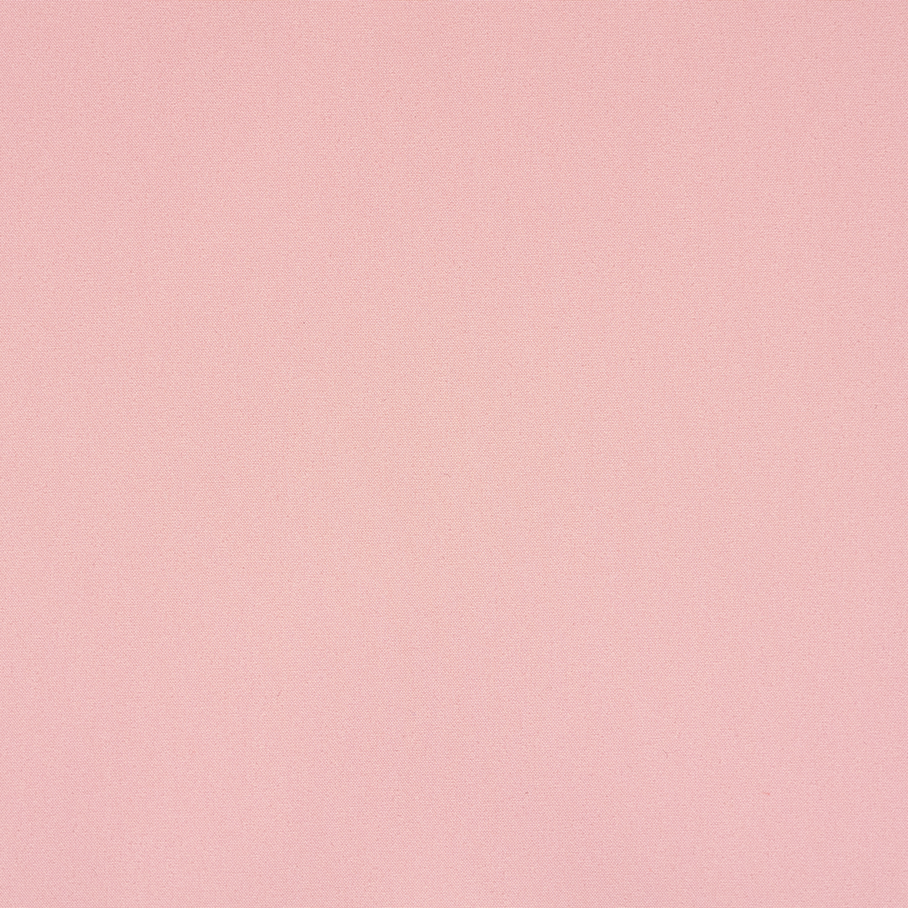 POPLIN, POTPOURRI (F000049029) - Texture