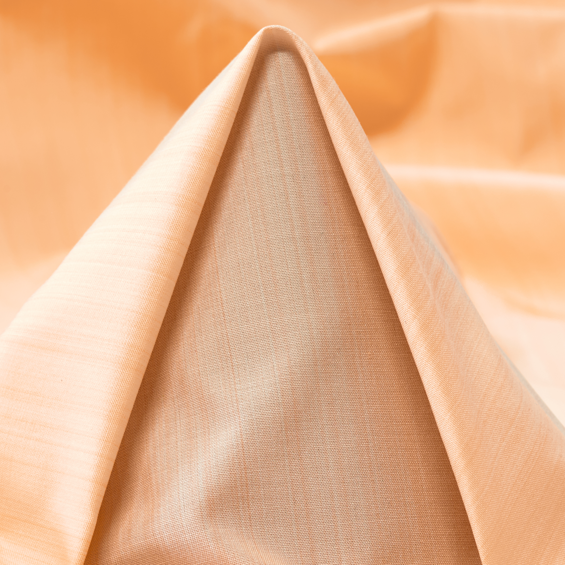 SILK, TAFFETA, IVORY (F000036183)