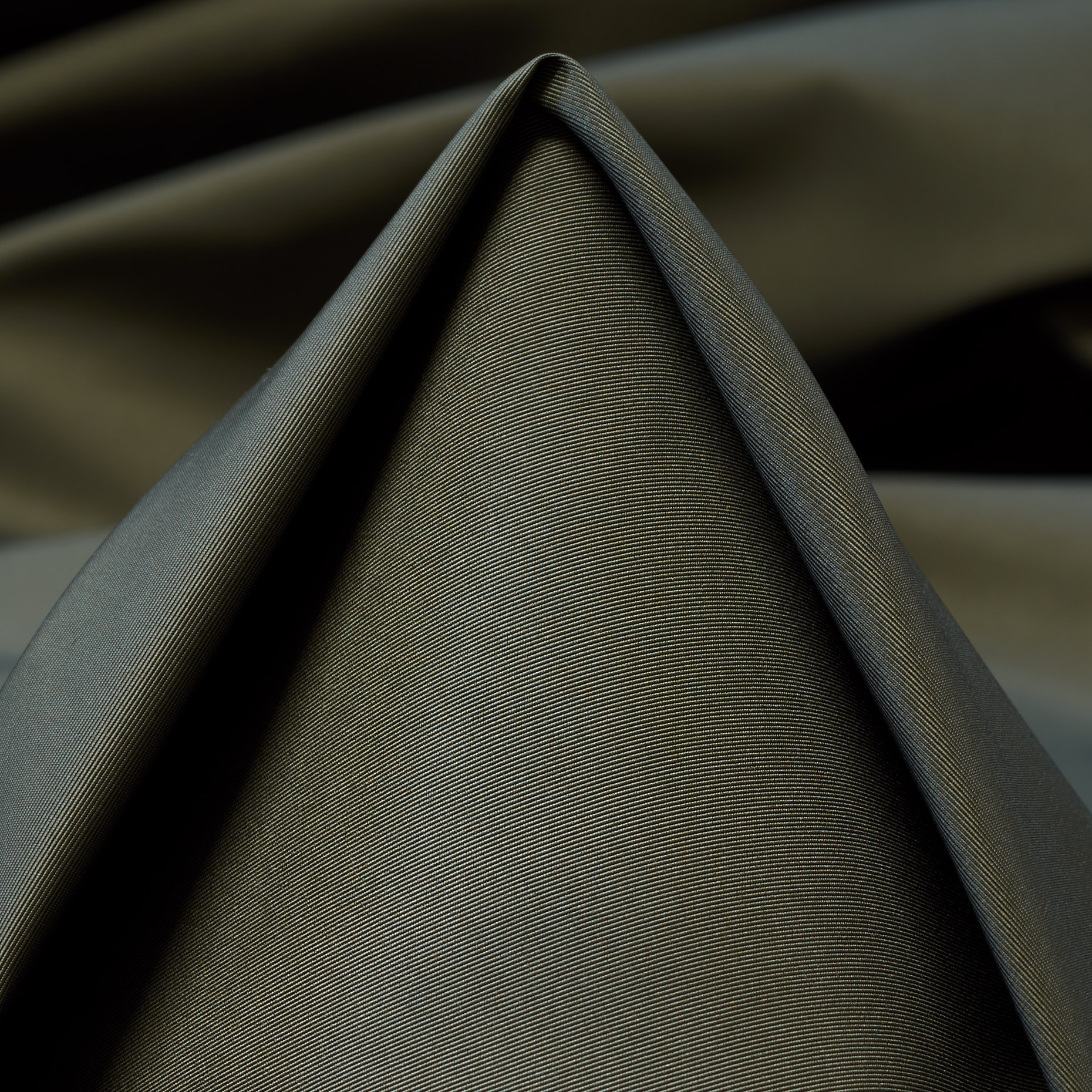 Outdoor, Grapeleaves (F000041849)