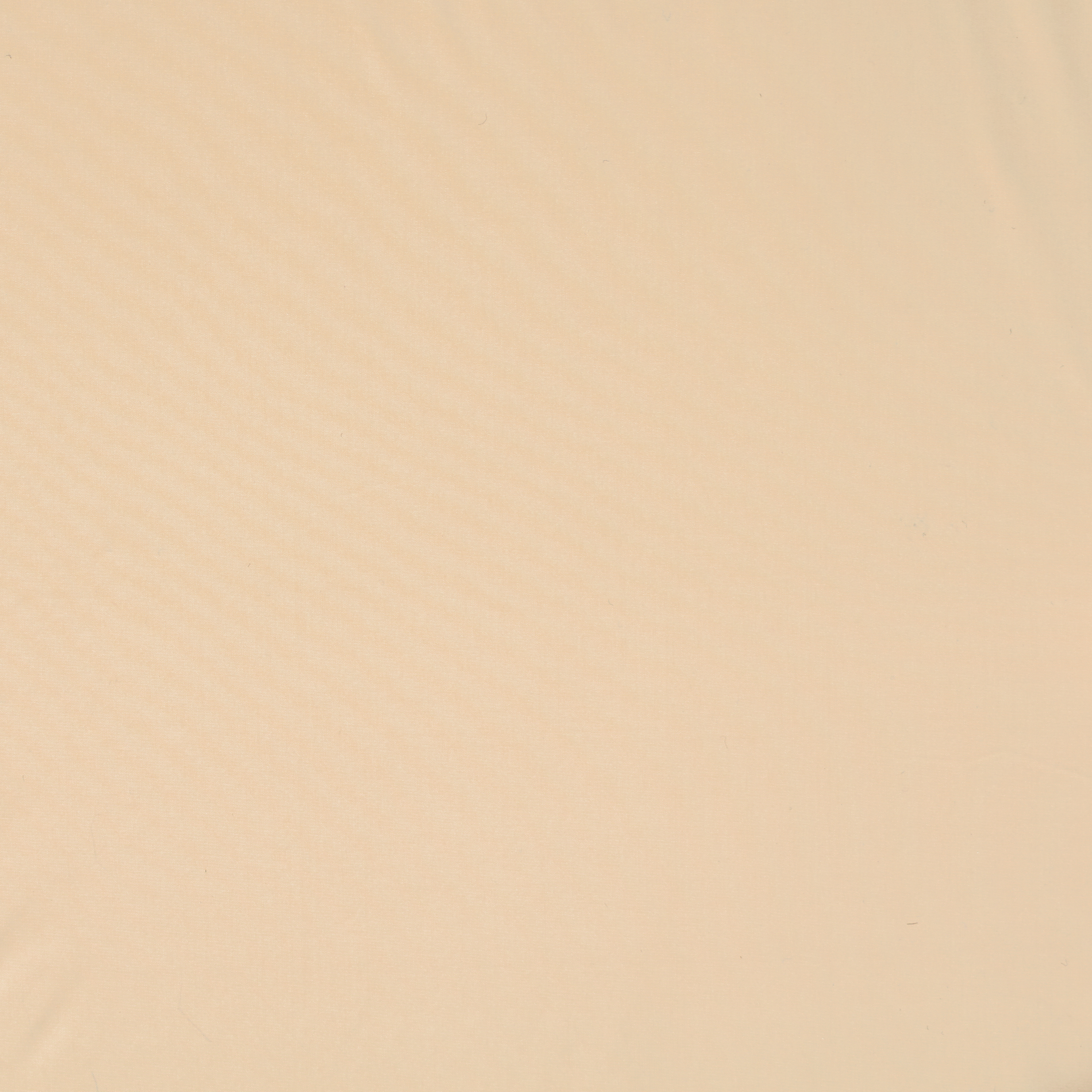 OUTDOOR, NYLON, SNOW WHITE (F000030902) - Texture