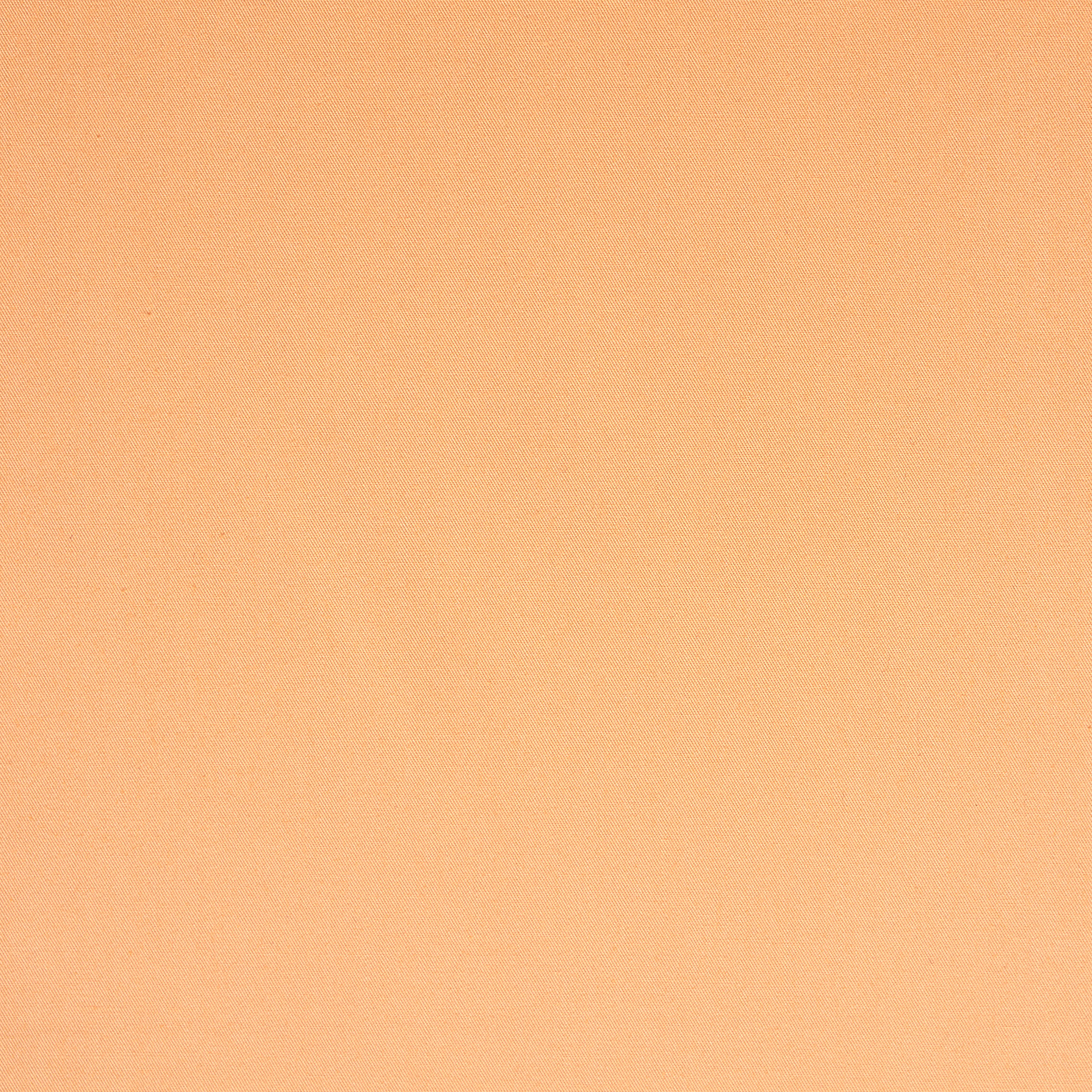 POPLIN, COTTON, AUTUMN BLONDE (F000042258) - Texture