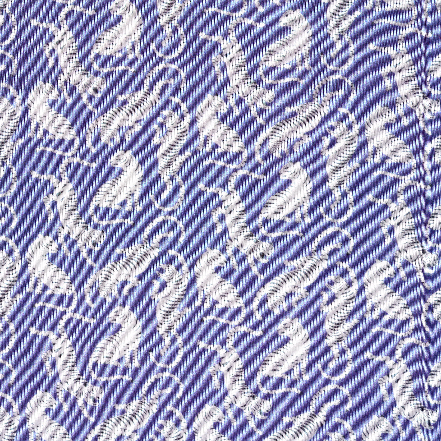 Techno Jersey, Animalier, Haute Elasticité, Cornflower Blue&Brilliant White (F000041278) - Tissage
