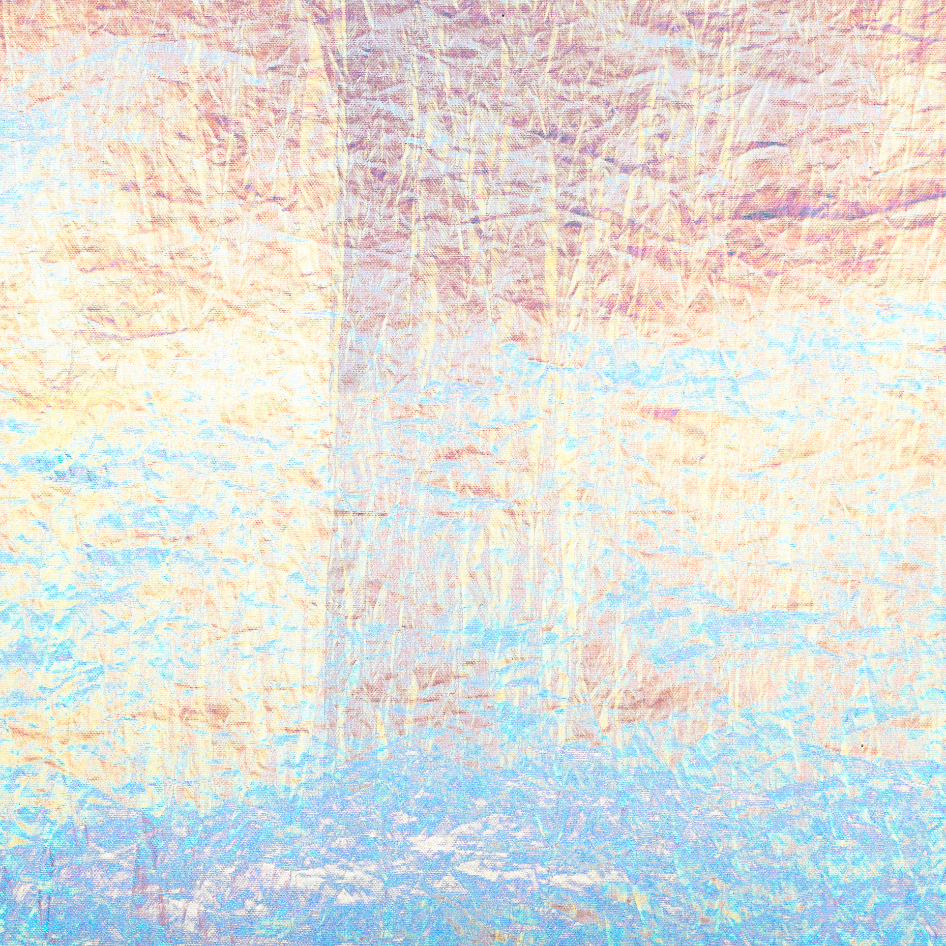 Outdoor, Iridescent, Printed, Silver (F000046997) - Texture