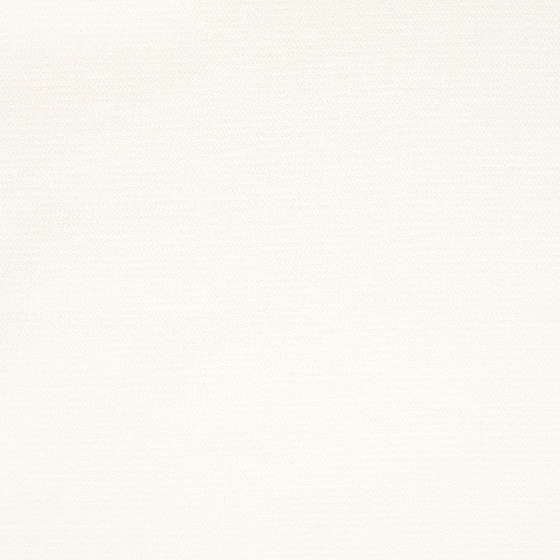 COTTON, ELASTIC, BRUSHED, SNOW WHITE (F000045201) - Texture