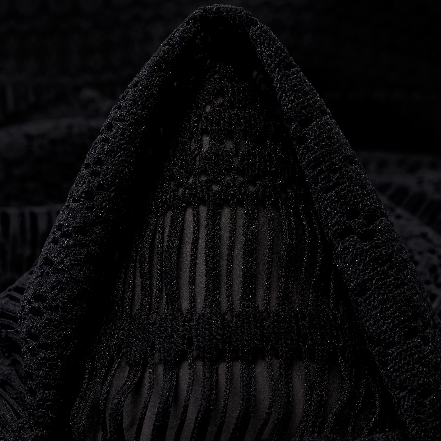 LACE, FLORAL, RAVEN BLACK (F000045438)