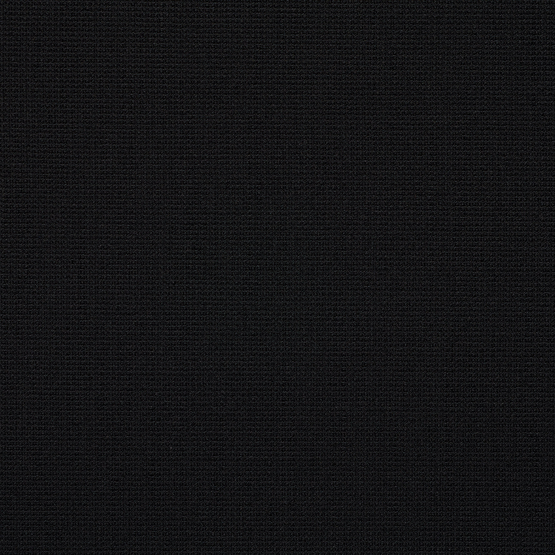 VIRGIN WOOL, MICRO STRUCTURE, ELASTIC, JET BLACK (F000036419) - Texture