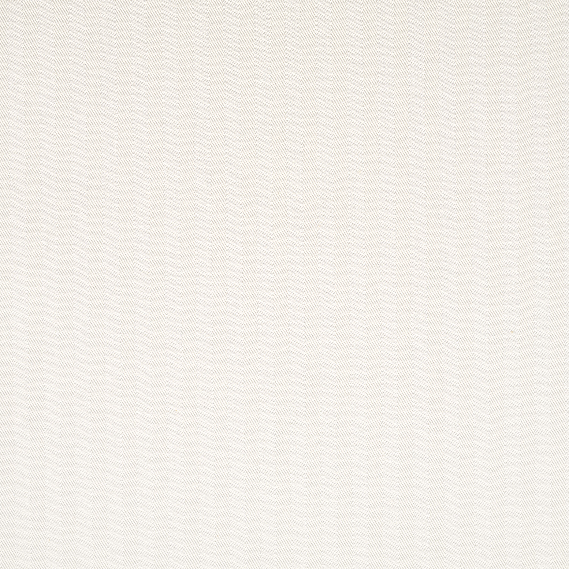 Algodón, Elástico, Lucent White (F000045127) - Tejido