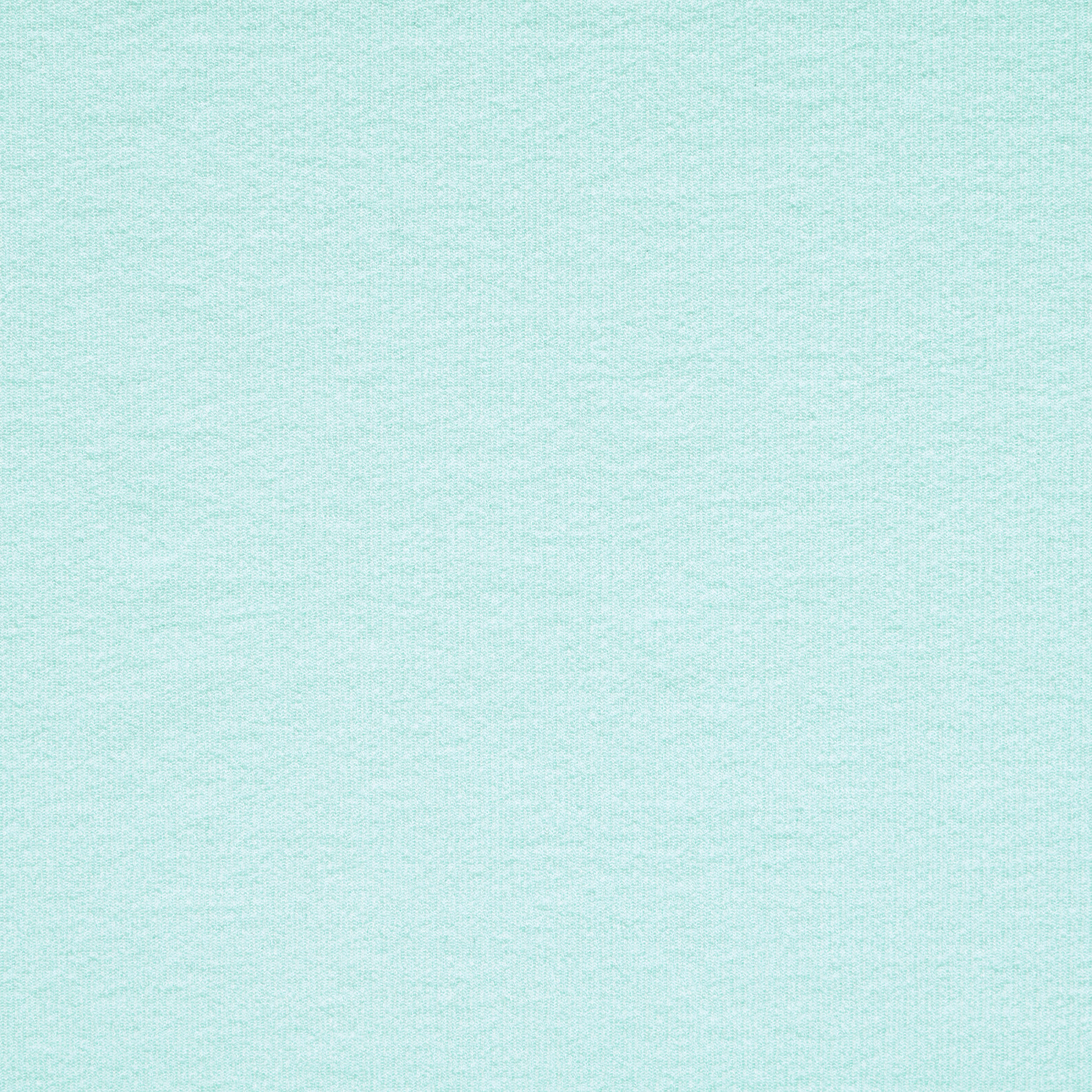 Трикотажная Резинка, Хлопок, Стрейч, Hint of Mint (F000042940) - Ткань