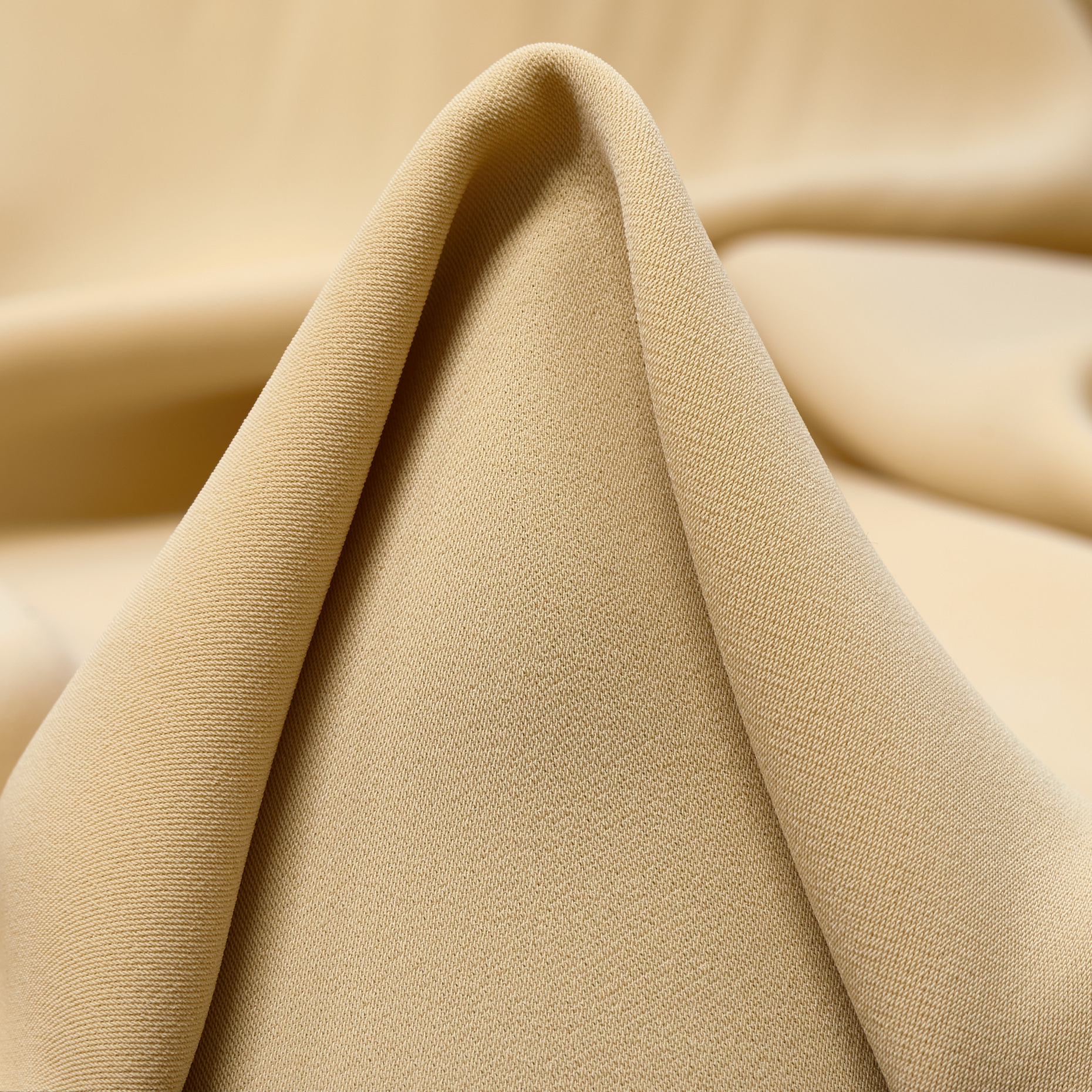 CRÊPE, BISCOTTI (F000025203)