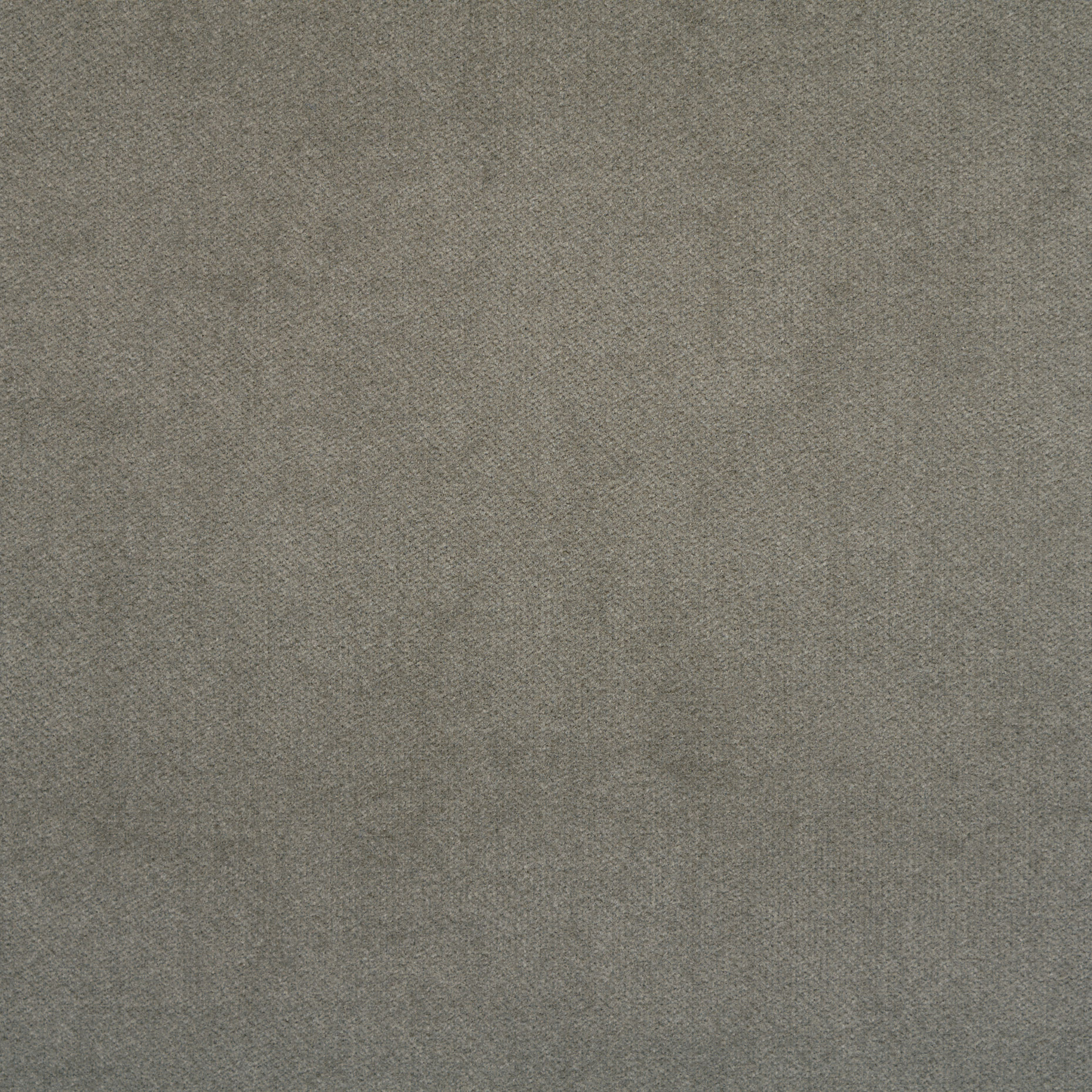 VELVET, COTTON, ELASTIC, MIDNIGHT FOG (F000041774) - Texture