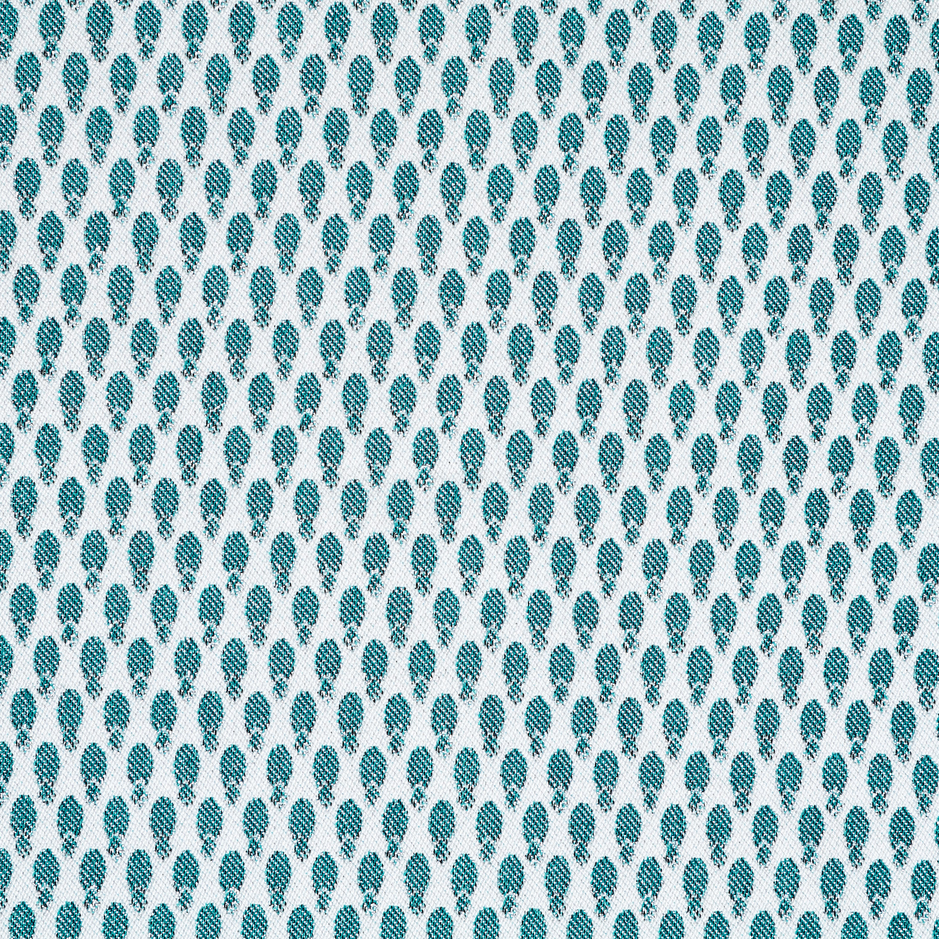 JACQUARD, COTTON ELASTIC, SNOW WHITE&DUSTY TURQUOISE (F000041382) - Texture
