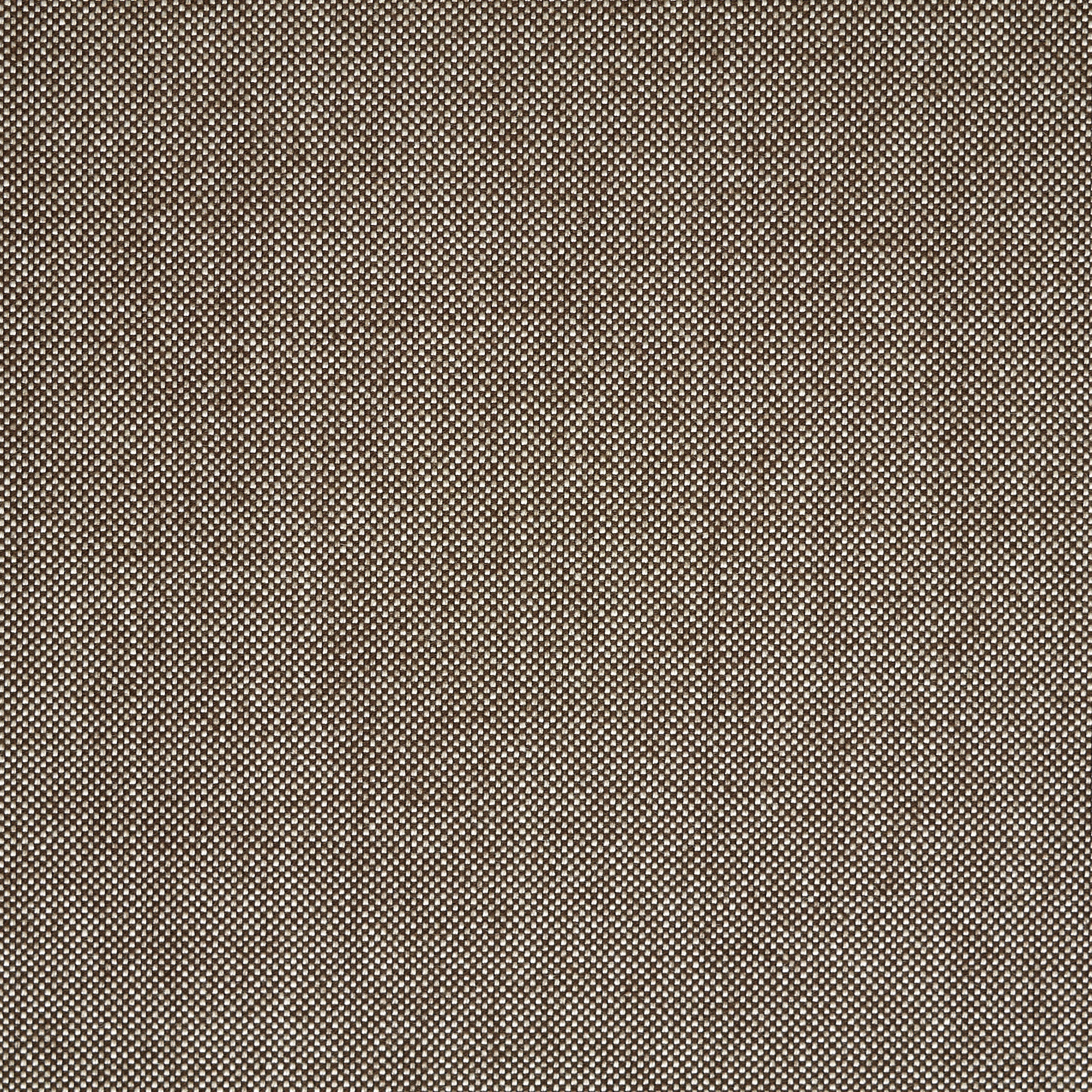 TWILL, WOOL, COTTON, DESERT TAUPE (F000044958) - Texture