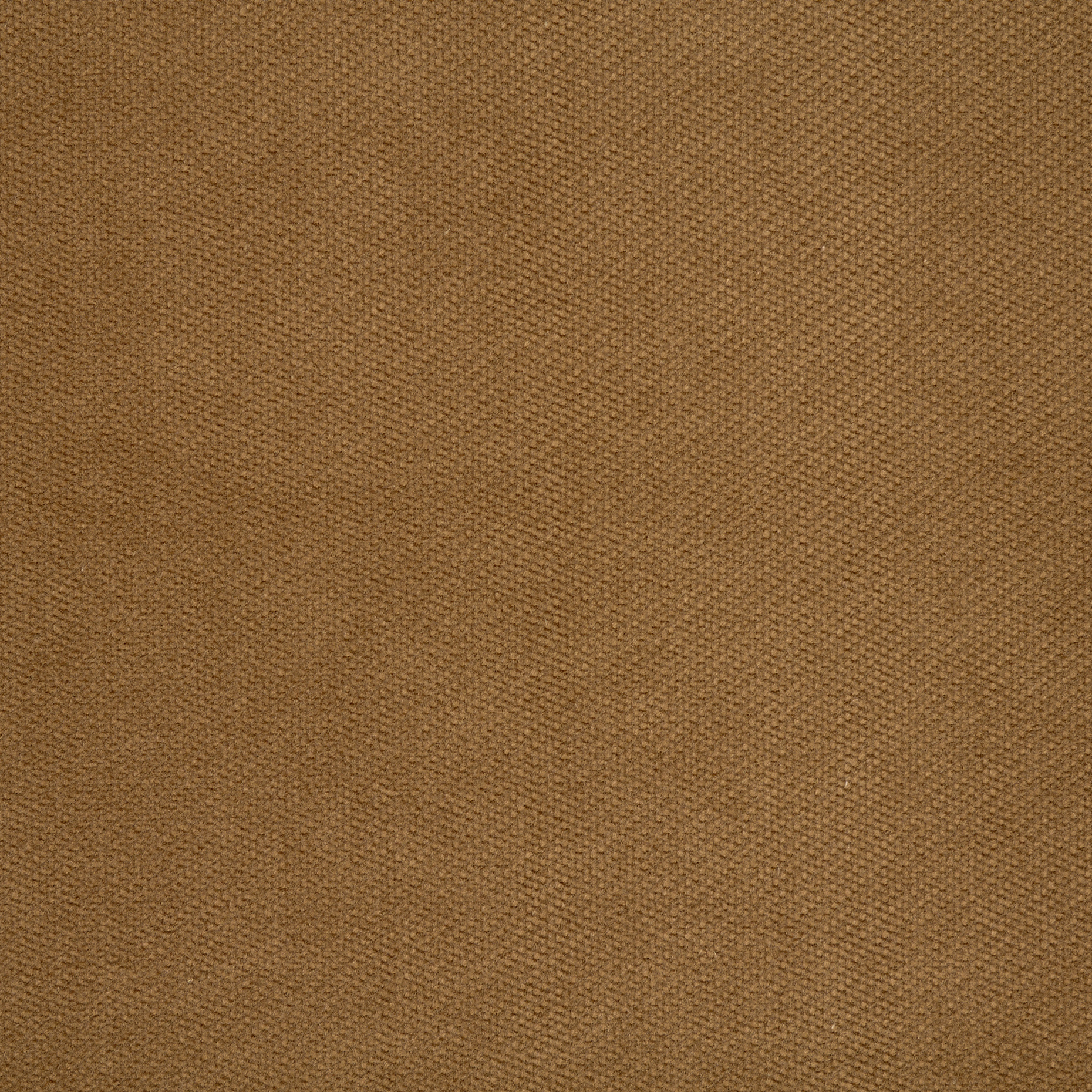 VELVET, COTTON, CARTOUCHE (F000047433) - Texture