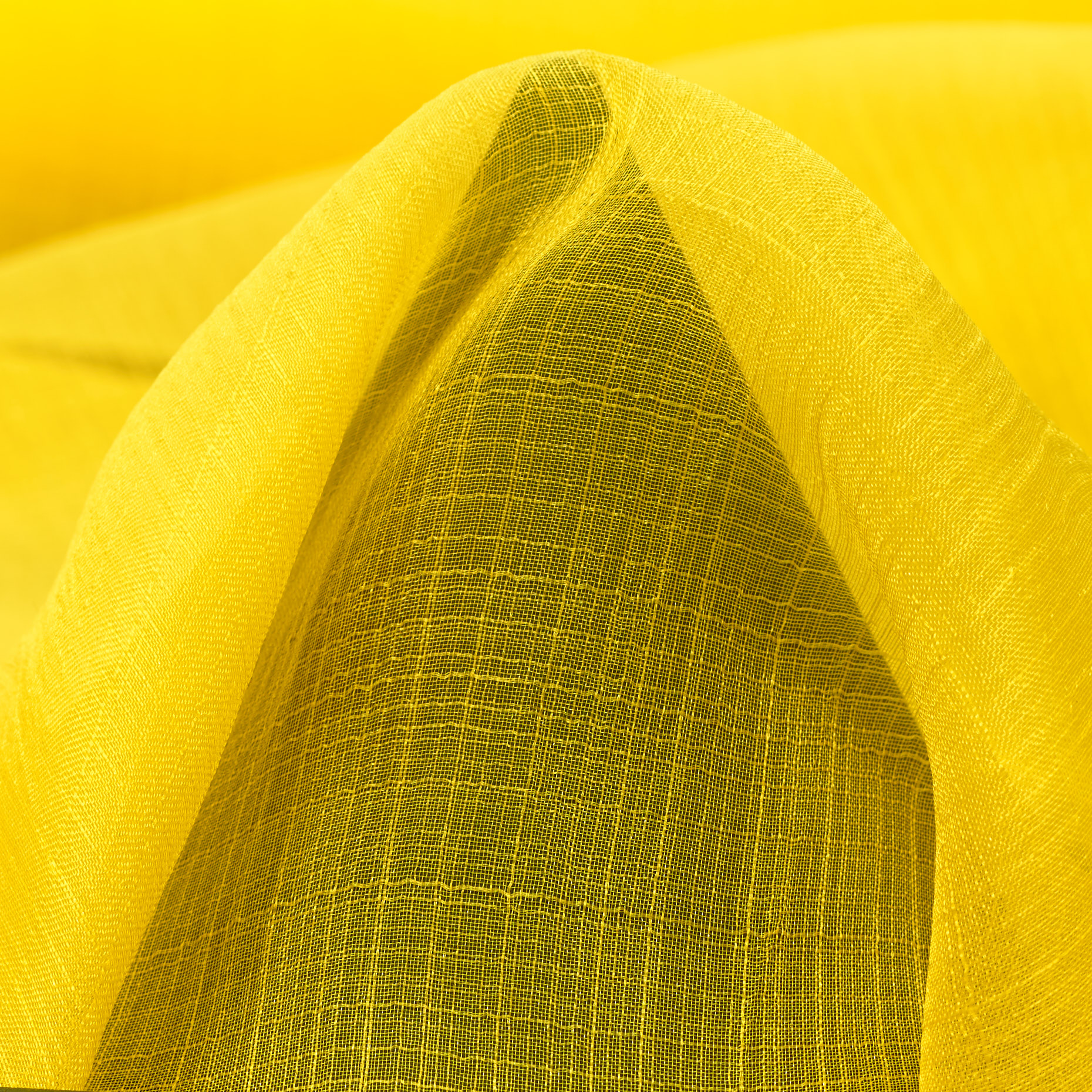 ORGANZA, SILK, YELLOW CREAM (F000035683)