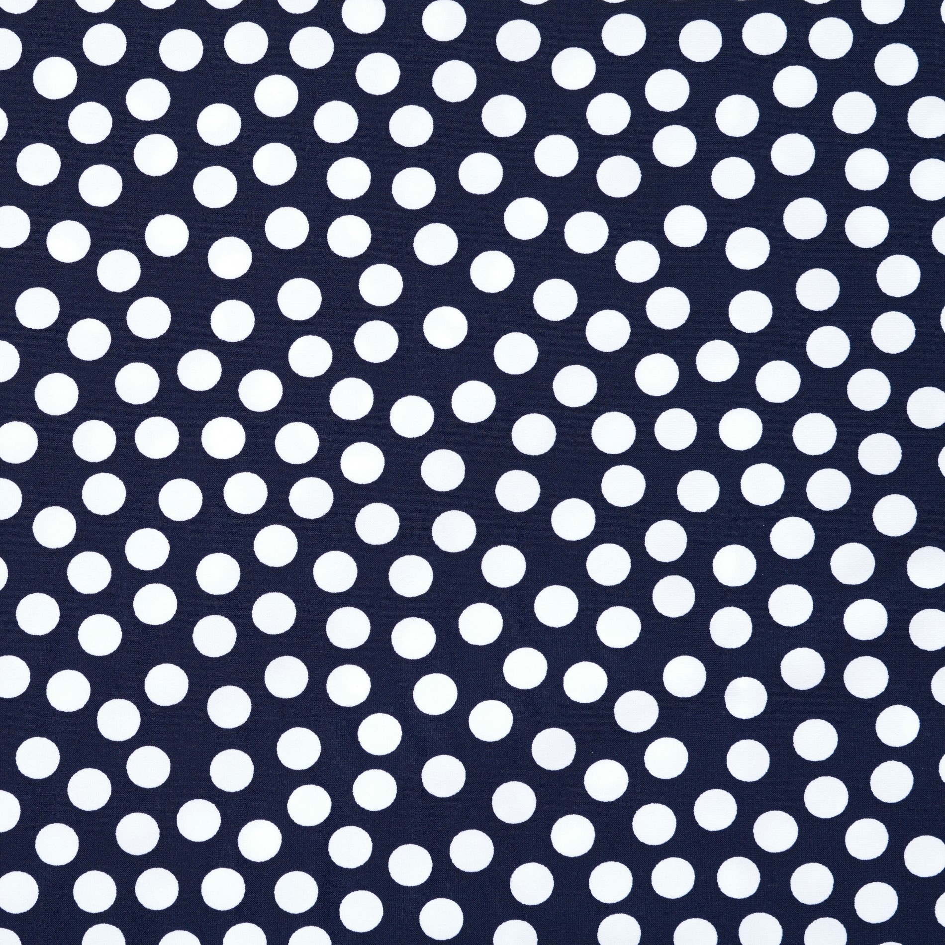 TECHNO JERSEY, DOTS, DARK BLUE&BRILLIANT WHITE (F000032317) - Texture