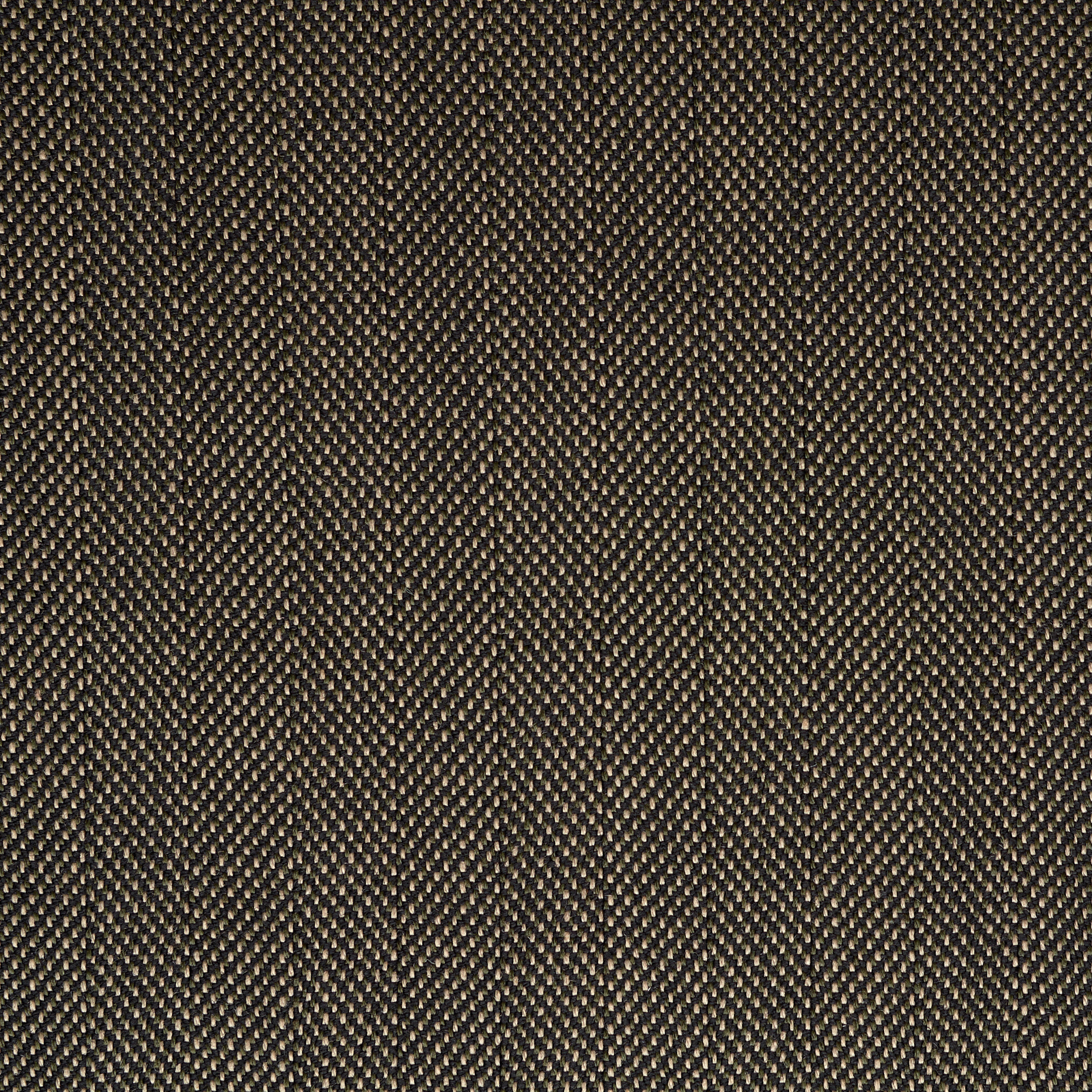 POPLIN, COTTON, ELASTIC, CRESS GREEN (F000049353) - Texture