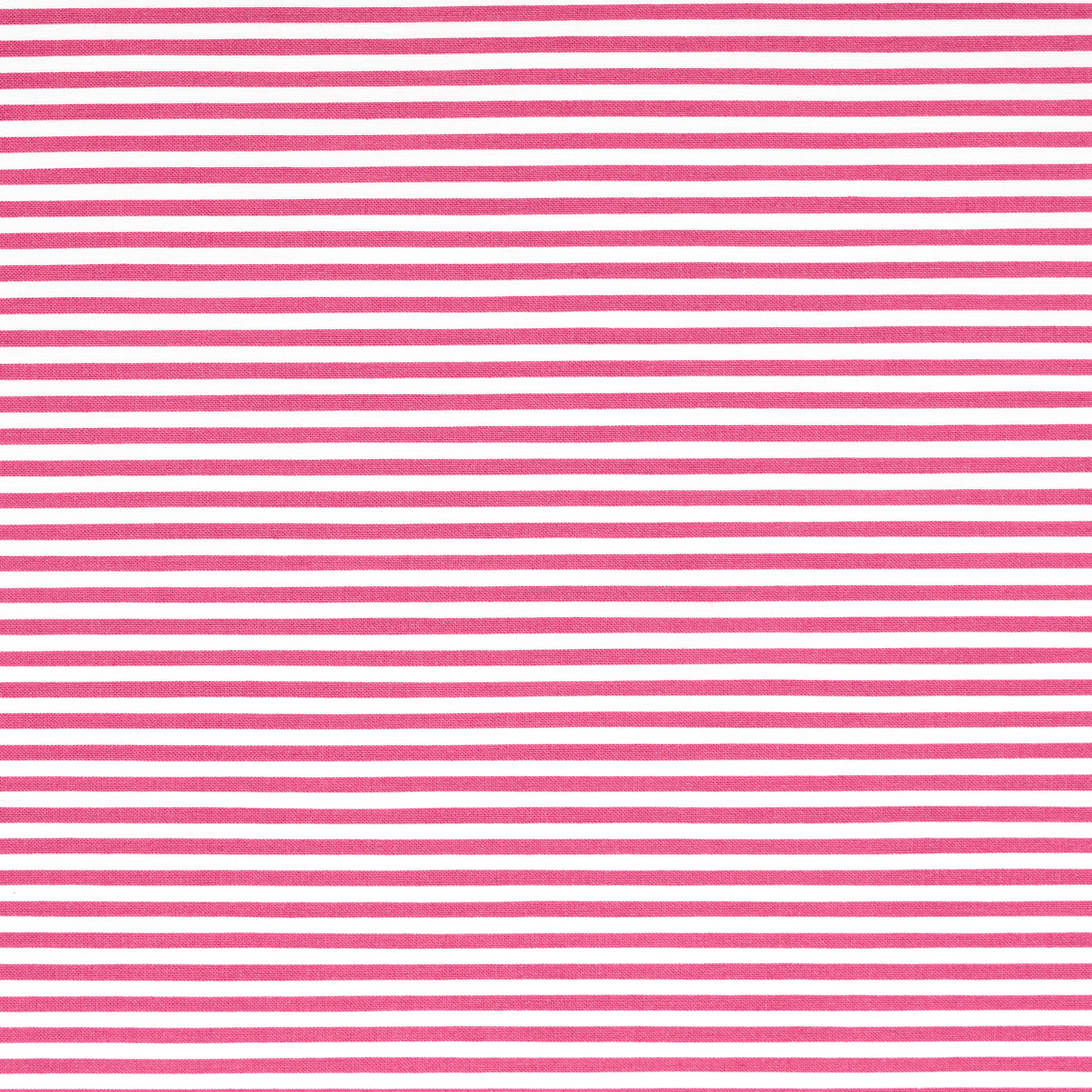 Popeline, Cotone Elastico, Rigato, Raspberry (F000029256) - Trama