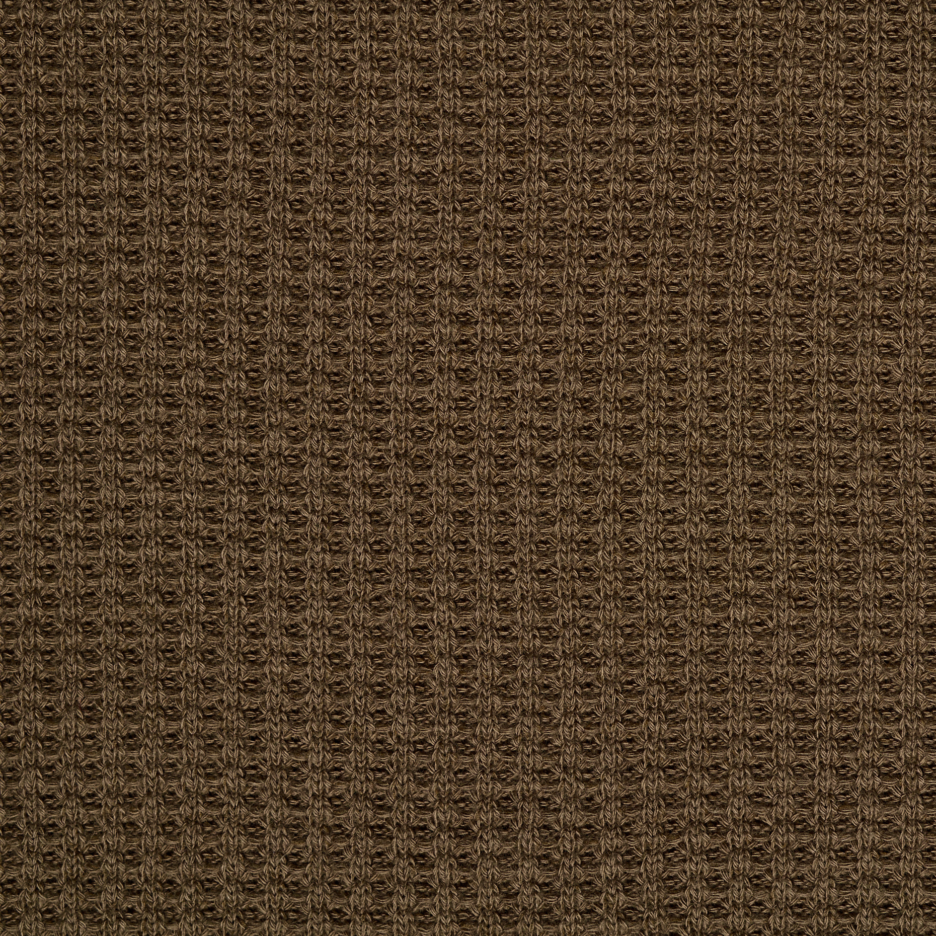 COTTON, COCOA BROWN (F000047058) - Texture