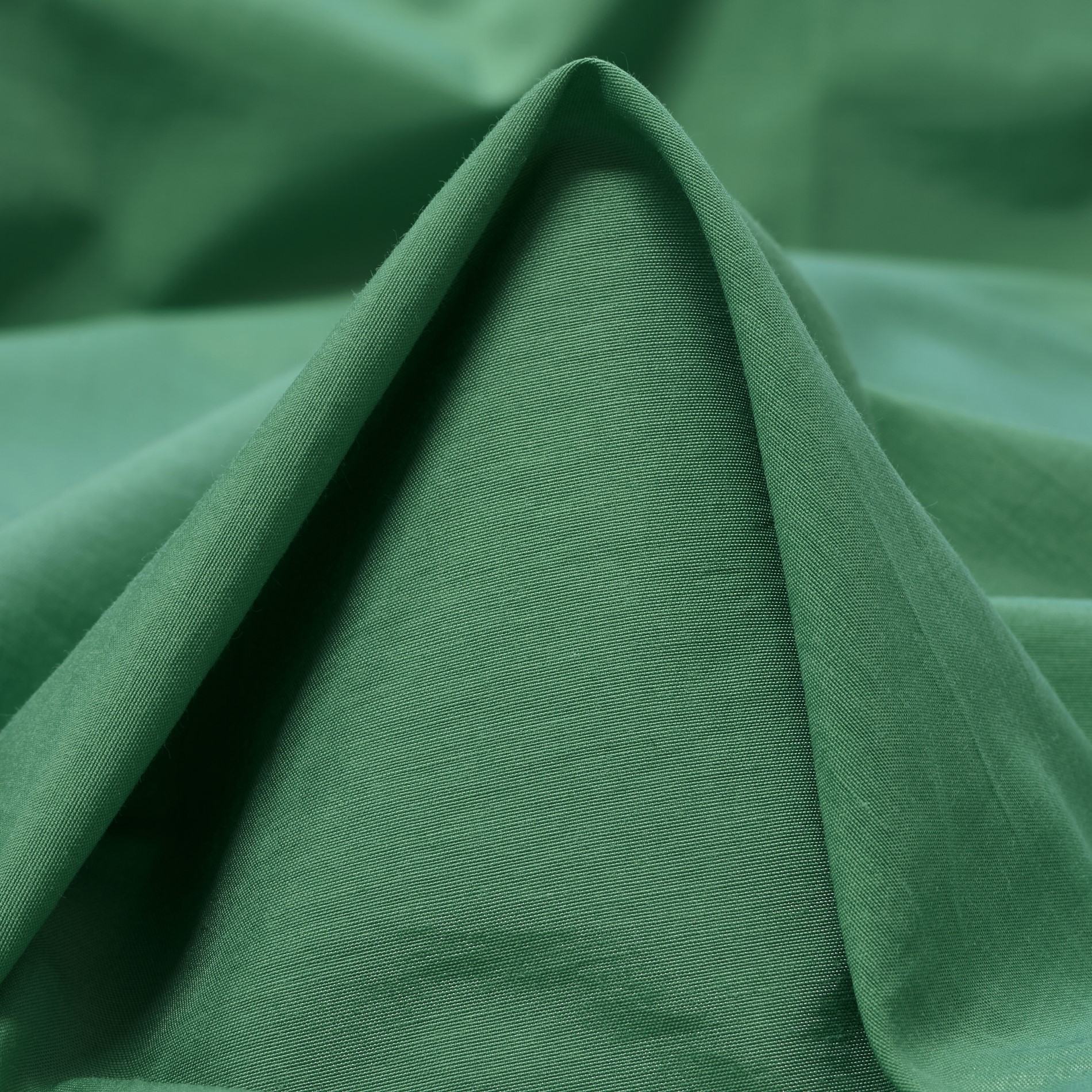 BATISTE, COTTON, CRÈME DE MENTHE