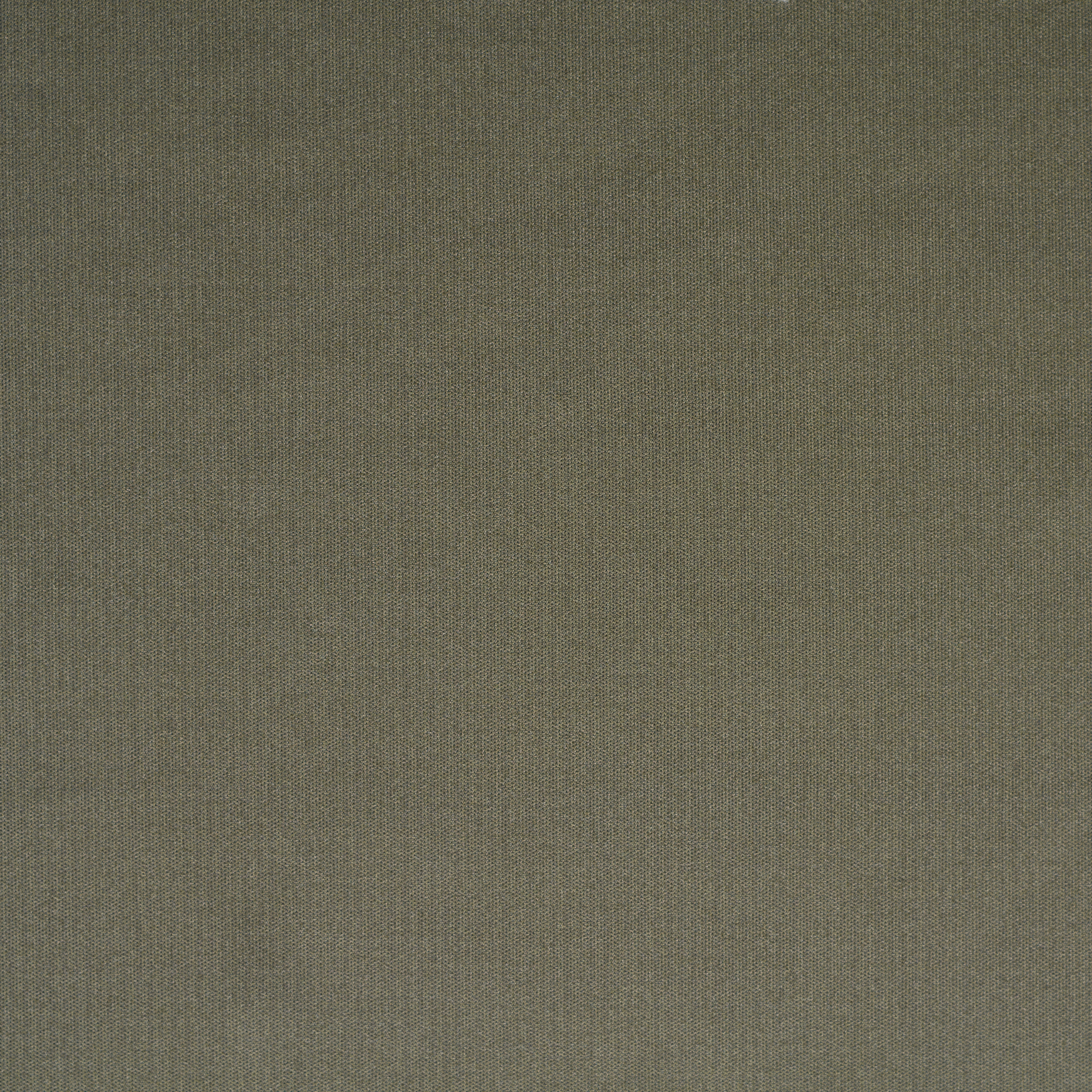 Одиночный Джерси, Dried Sage (F000034182) - Ткань