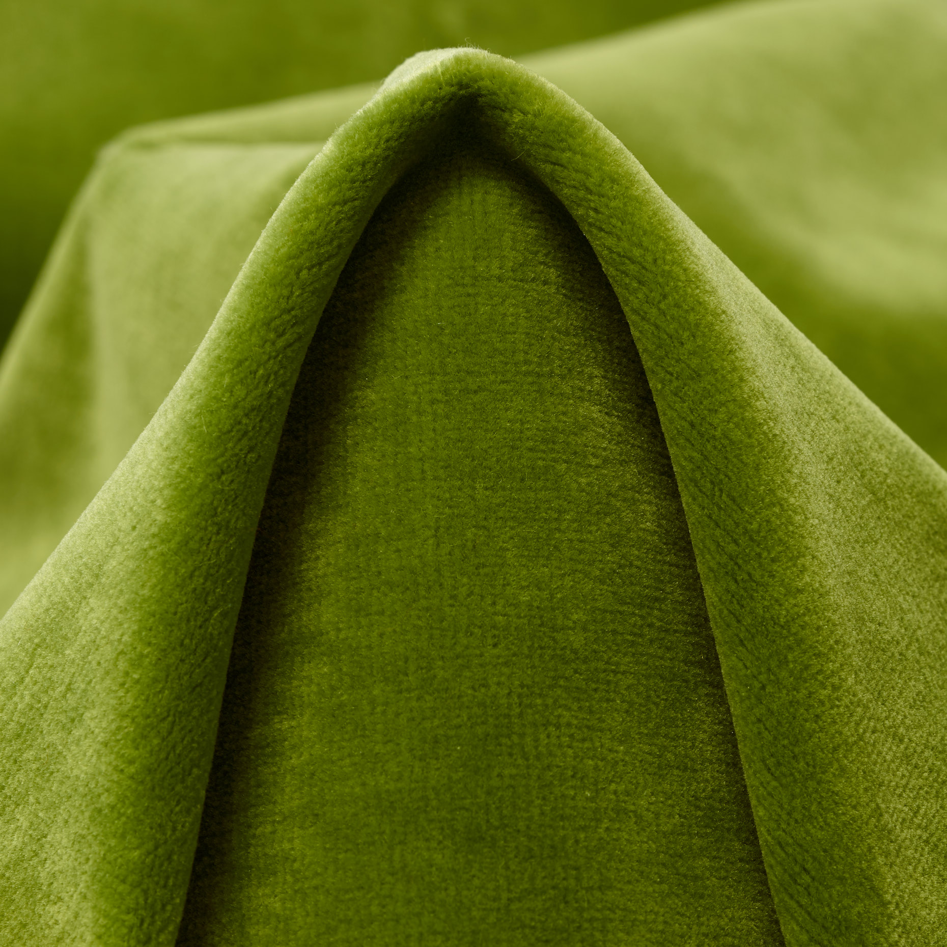 Aksamit, Bawełna, Foliage