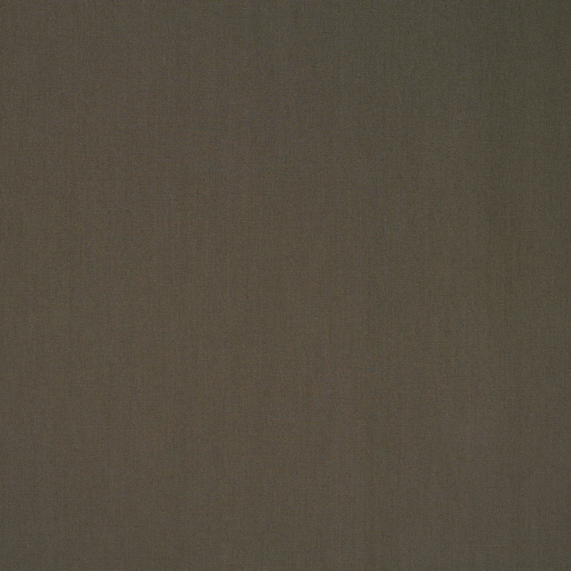 BATISTE, COTTON, ELASTIC, TEA LEAF (F000029809) - Texture