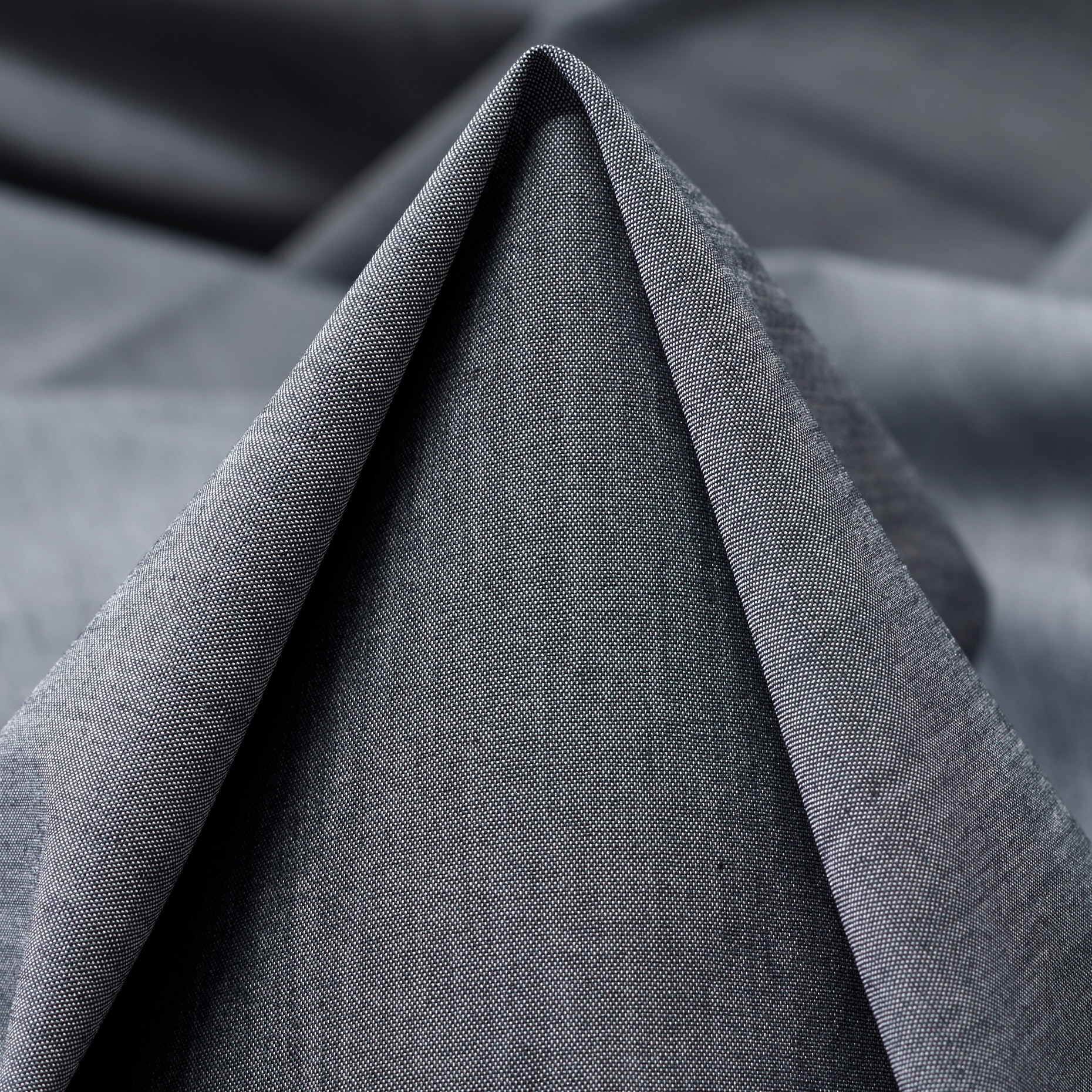 POPLIN, COTTON ELASTIC, ELASTIC, WEATHERVANE (F000037897)