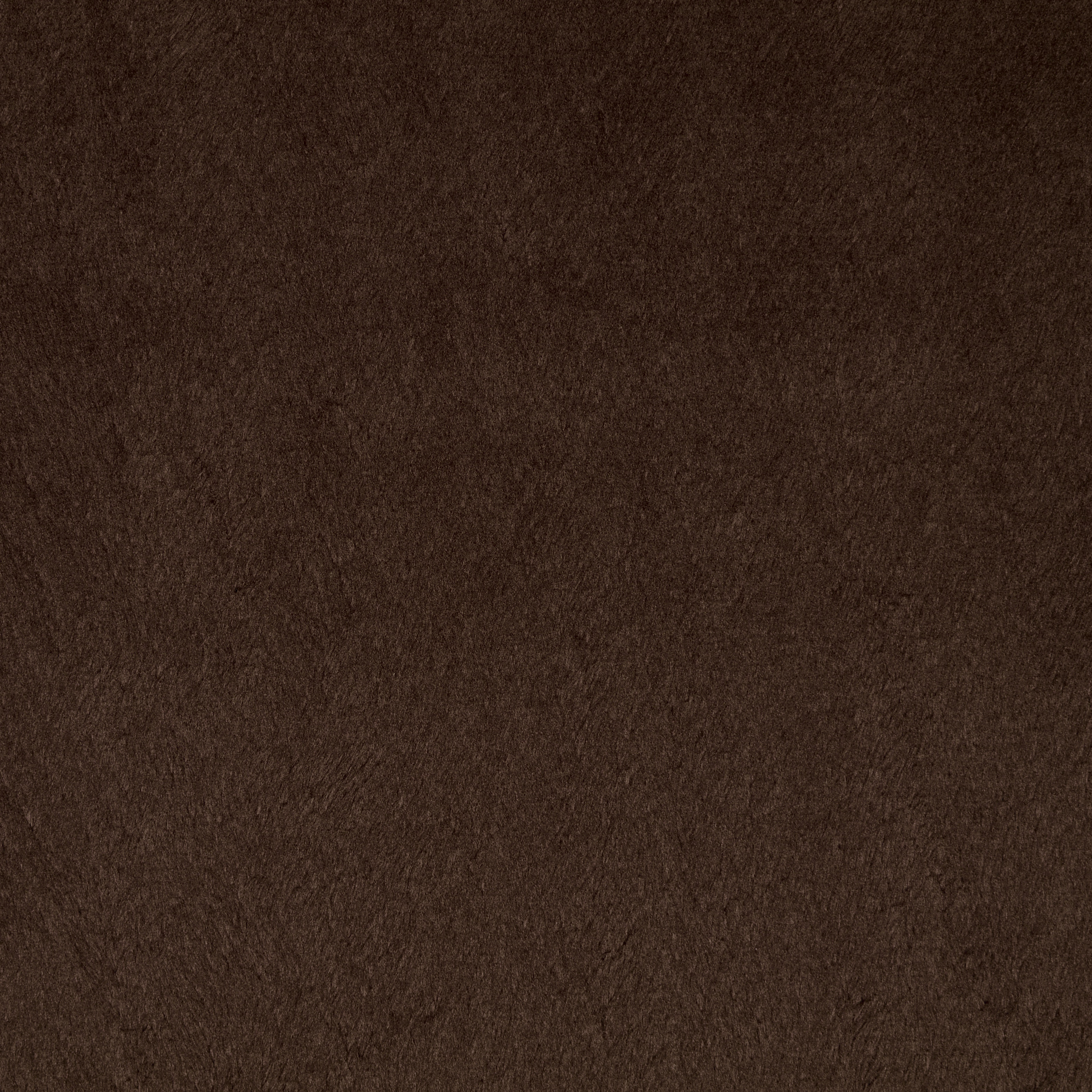 Fake Fur, Jersey, Seal Brown (F0000333) - Texture