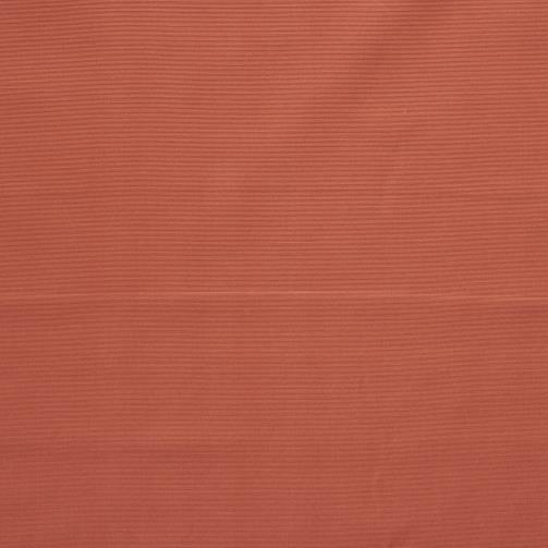 A costine, Deep Sea Coral (F000027752) - Trama